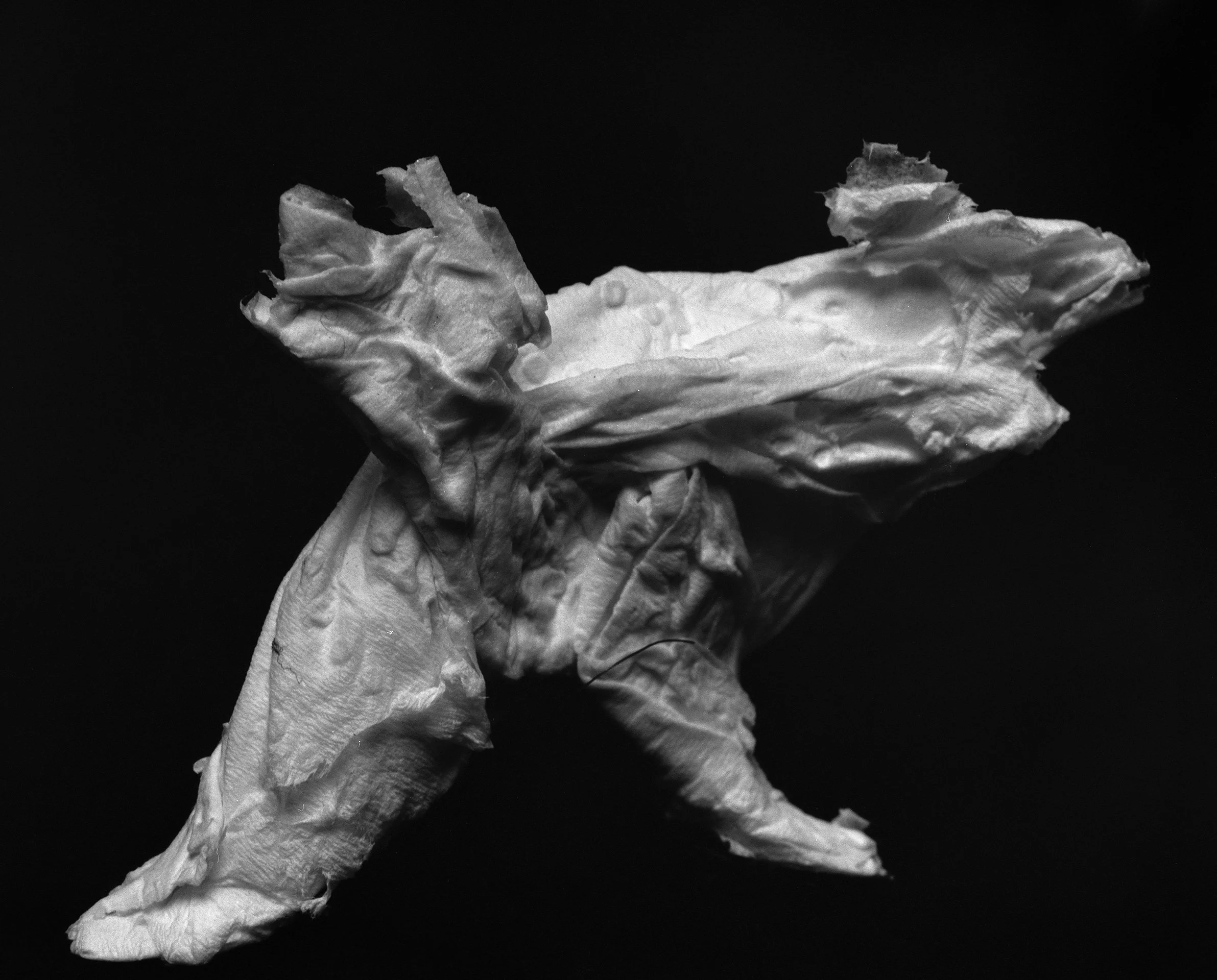 Black and white photograph of crumpled, torn paper on a dark background.