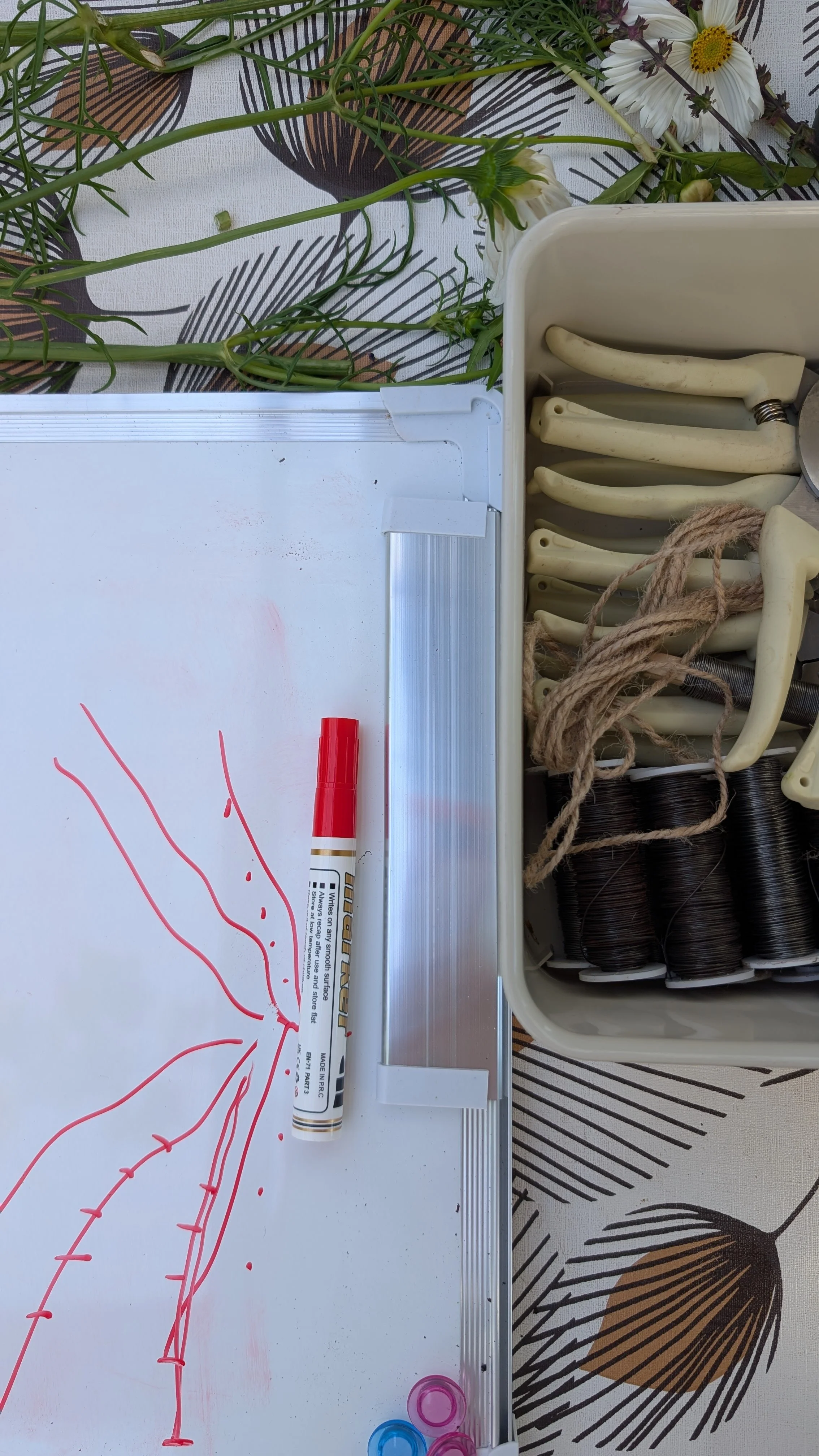 Autumn Gardening 170726.jpg