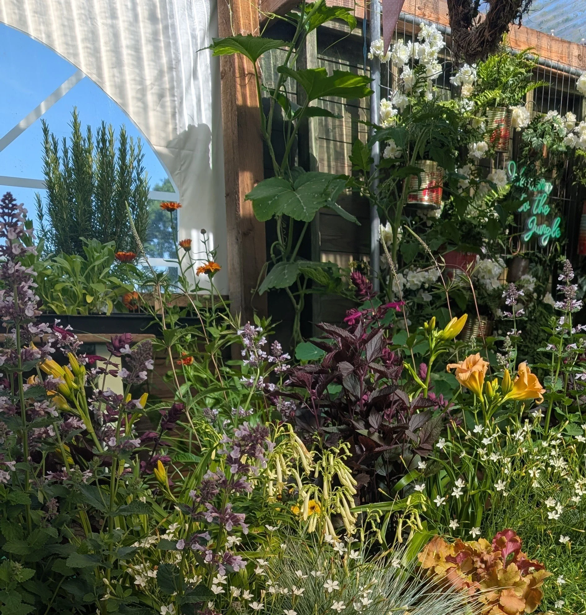 Plant Sale 170626.jpg