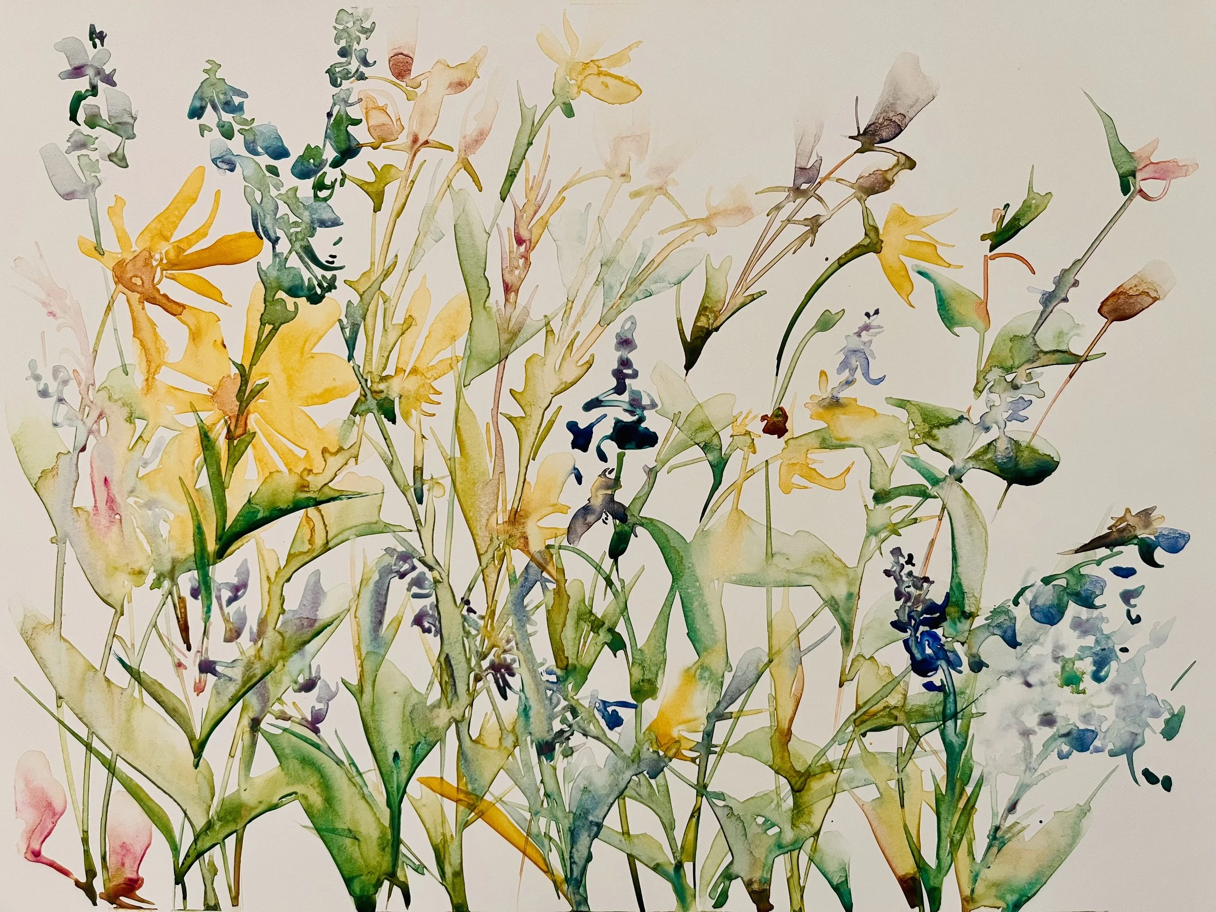 Yellow Prairie, 2023
Watercolor on mineral paper, framed
9" x 12"
$473