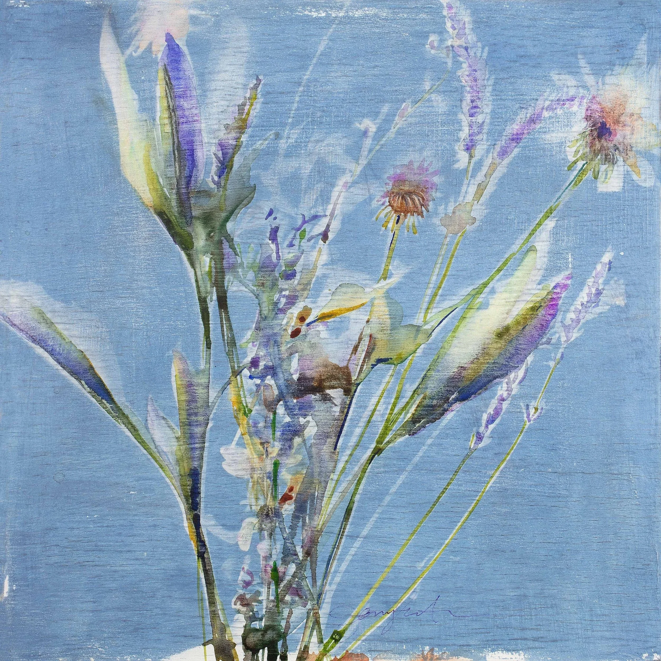 Milkweed, 2025
Watercolor over cyanotype on wood panel
10" x10"
$273