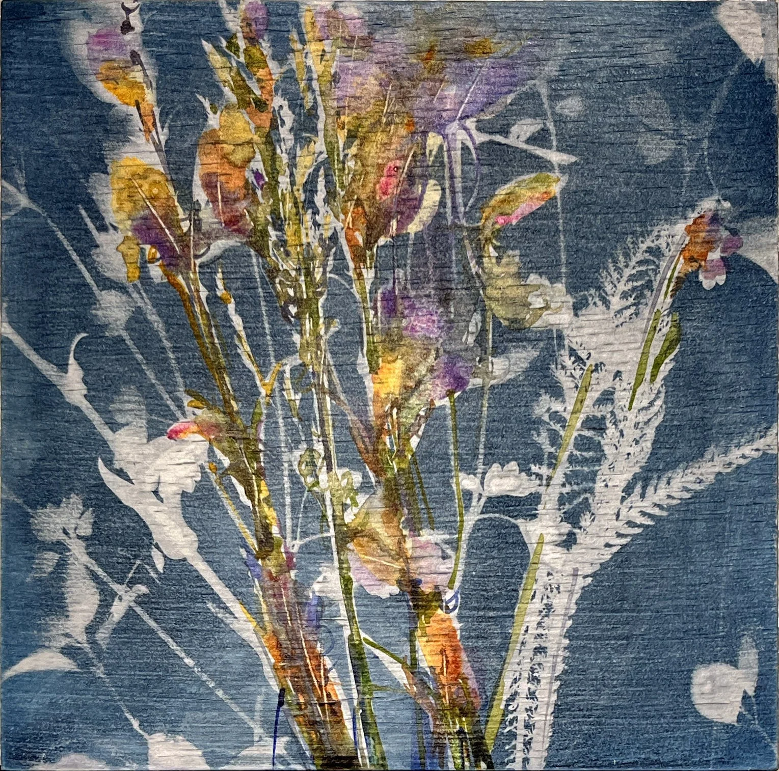 Yarrow, 2025
Watercolor over cyanotype on wood panel
8" x 8"
$143
