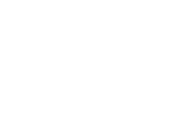 SINTH STUDIO