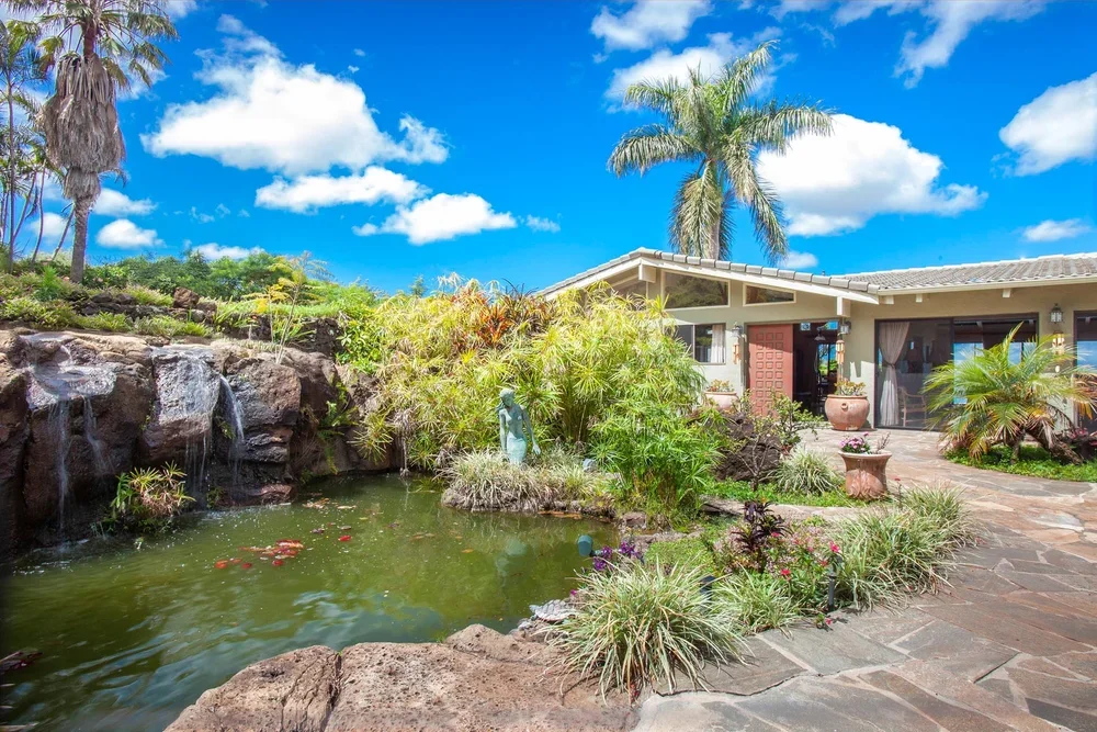 564+Holupuni-2676 (1).webp