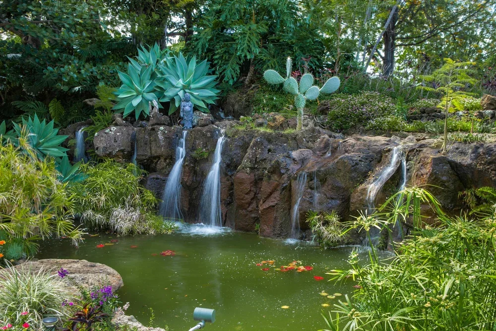 564+Holupuni-2654.webp