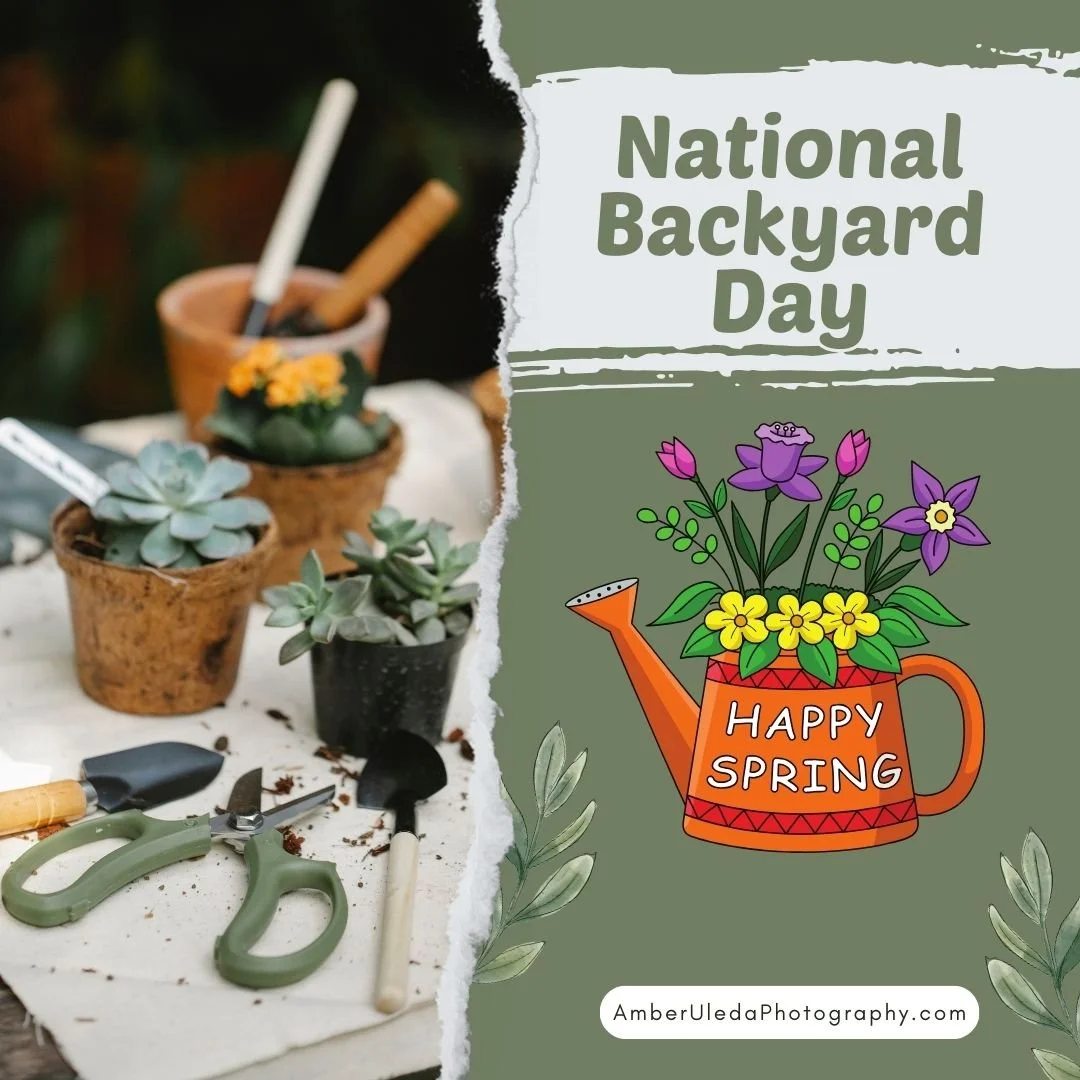 Spring-Backyard Mar 19.jpg