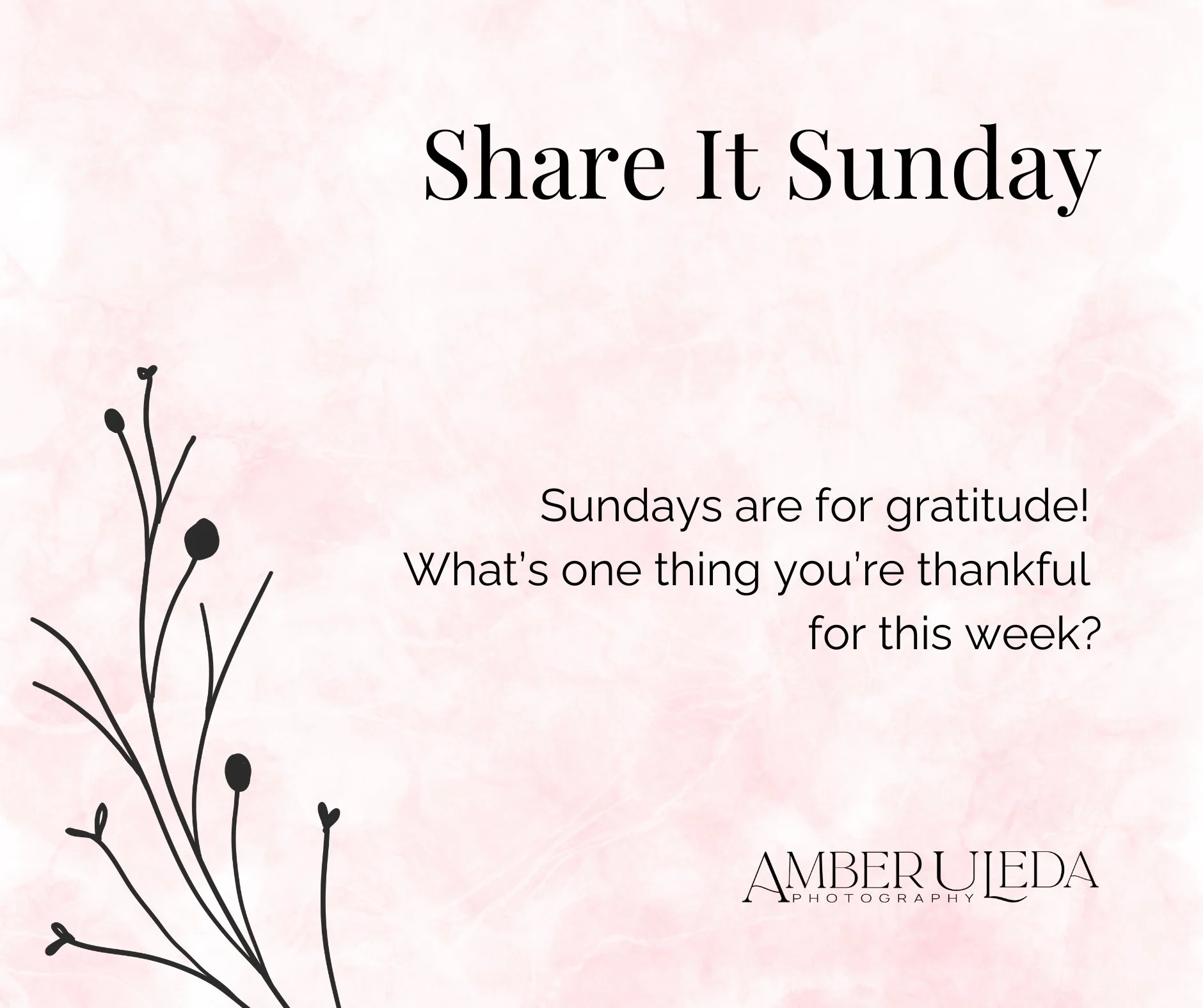 Share It Sunday 1.jpg