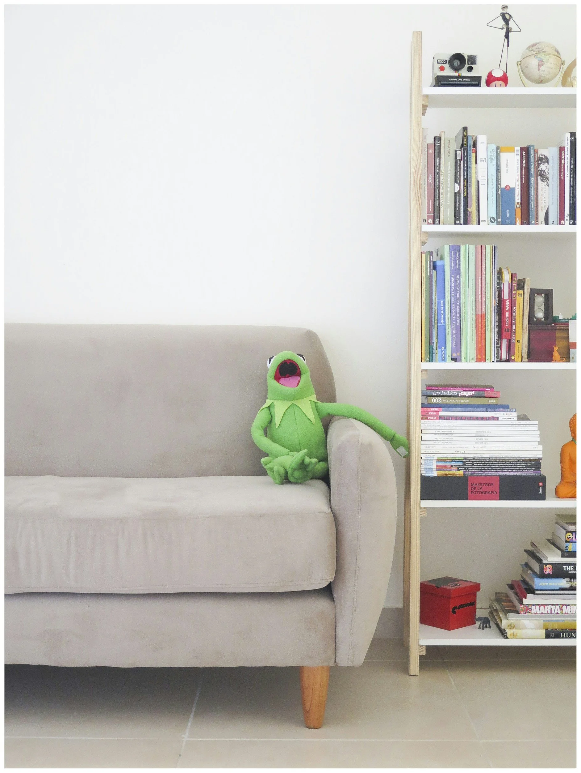 Image of Kermit the Frog stuffed animal sitting on a couch next to a book shelf loaded with all sorts of books and treasures