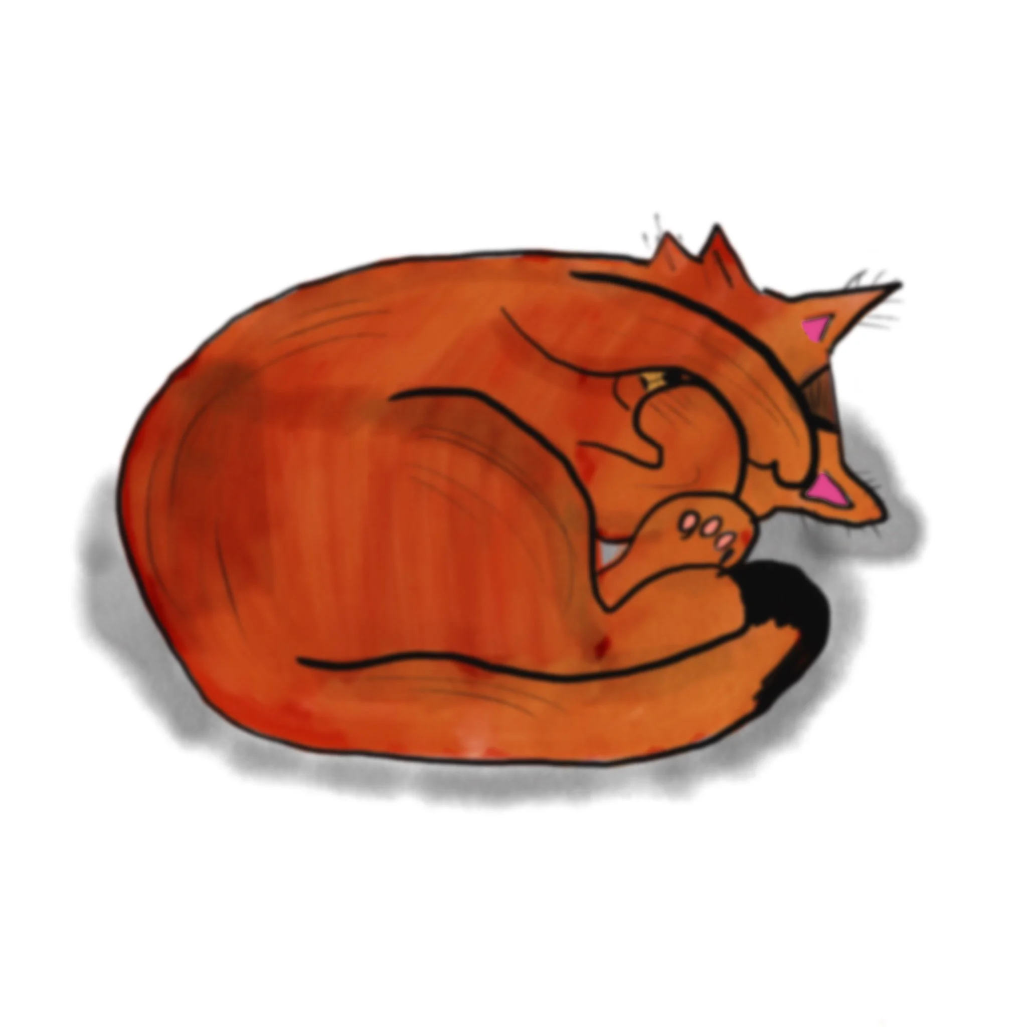 Illustration of an orange cat hiding its face behind its paws, as it lays on the ground