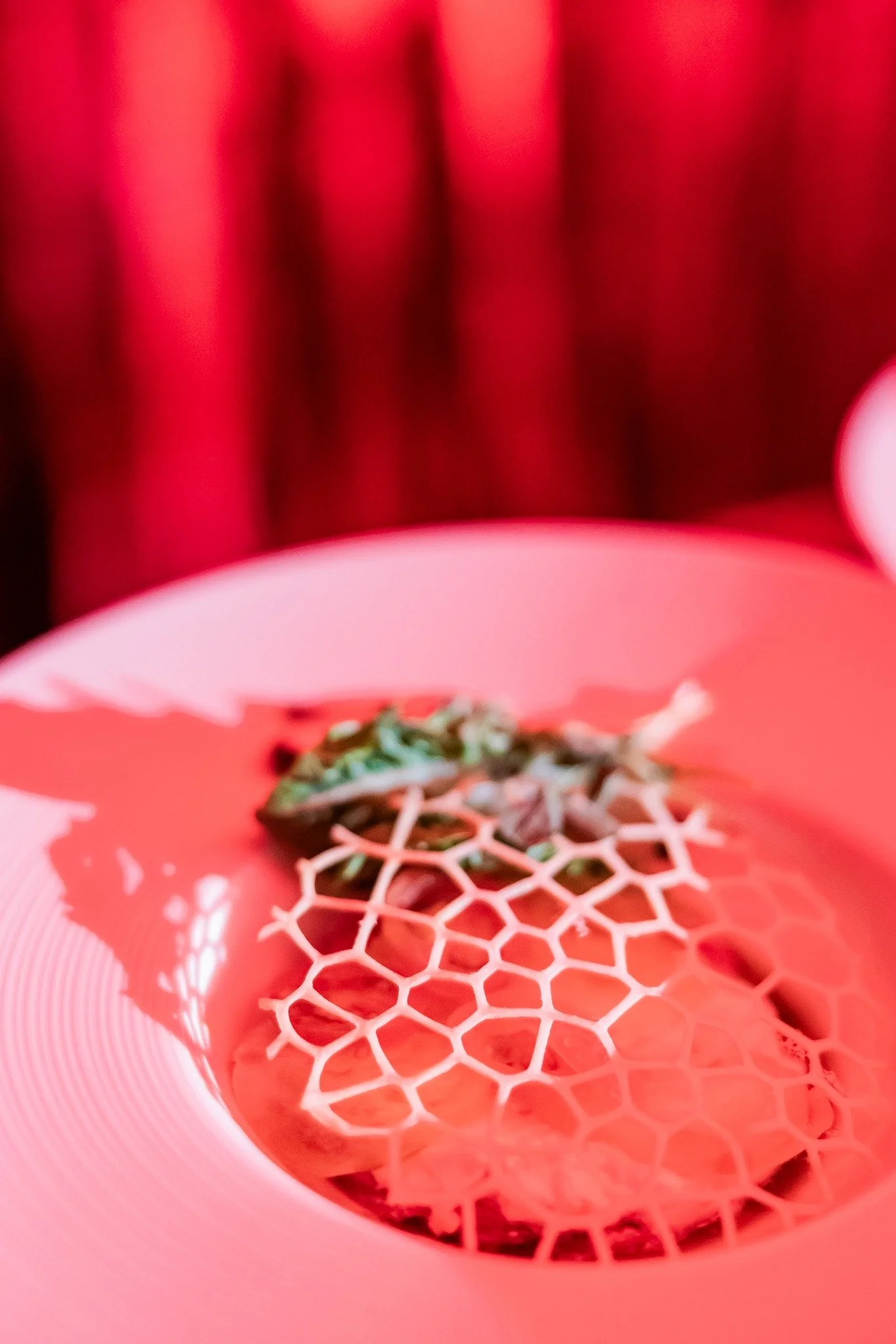 Close-up of a white plate with a honeycomb-shaped food item and a small portion of leafy greens, under pink lighting.