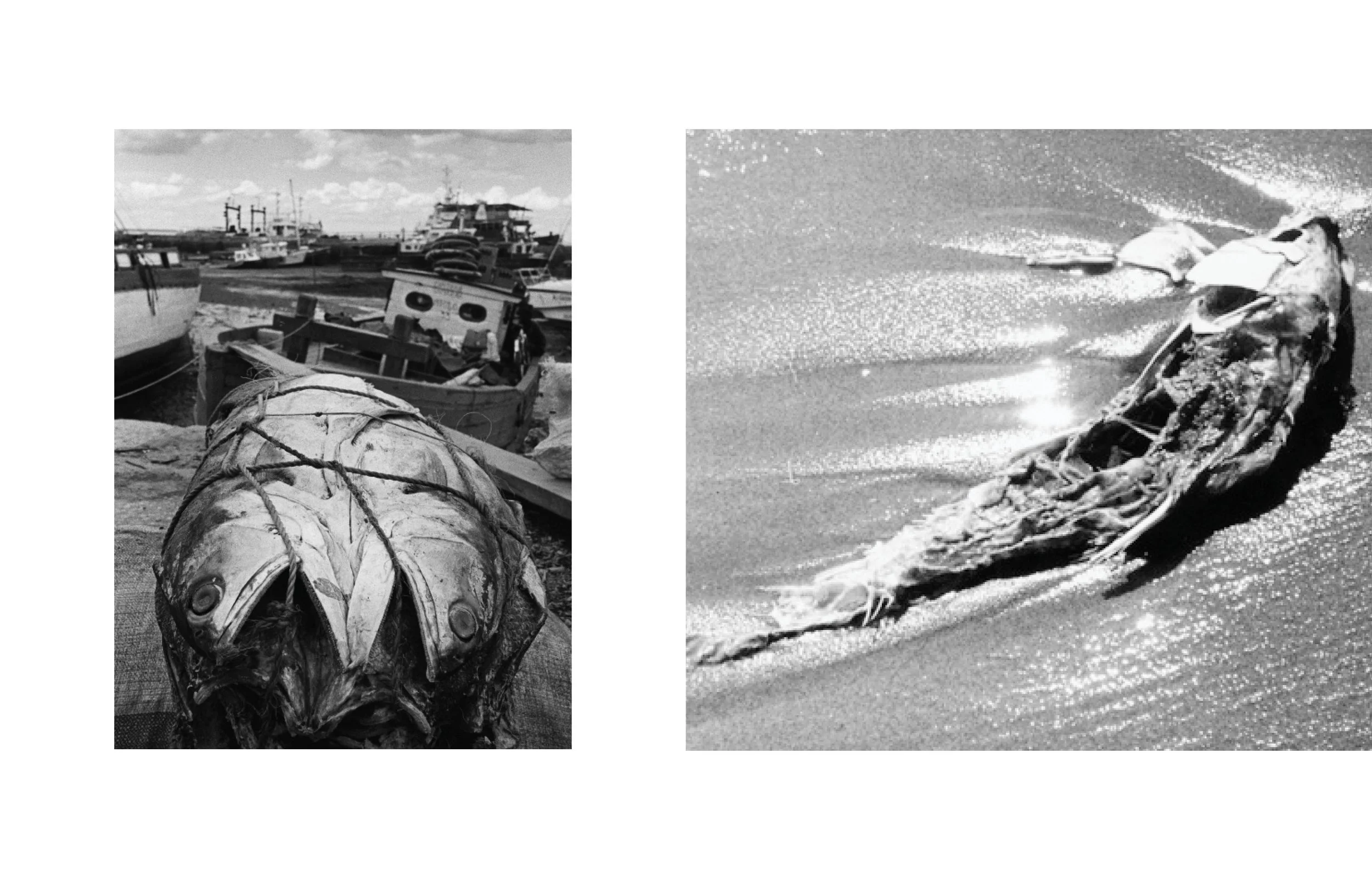 deux images en noir et blanc montrant un bateau échoué sur la plage, le premier gros plan sur une coque de bateau endommagée, le second montrant des vagues éclaboussant une coque échouée sur la plage