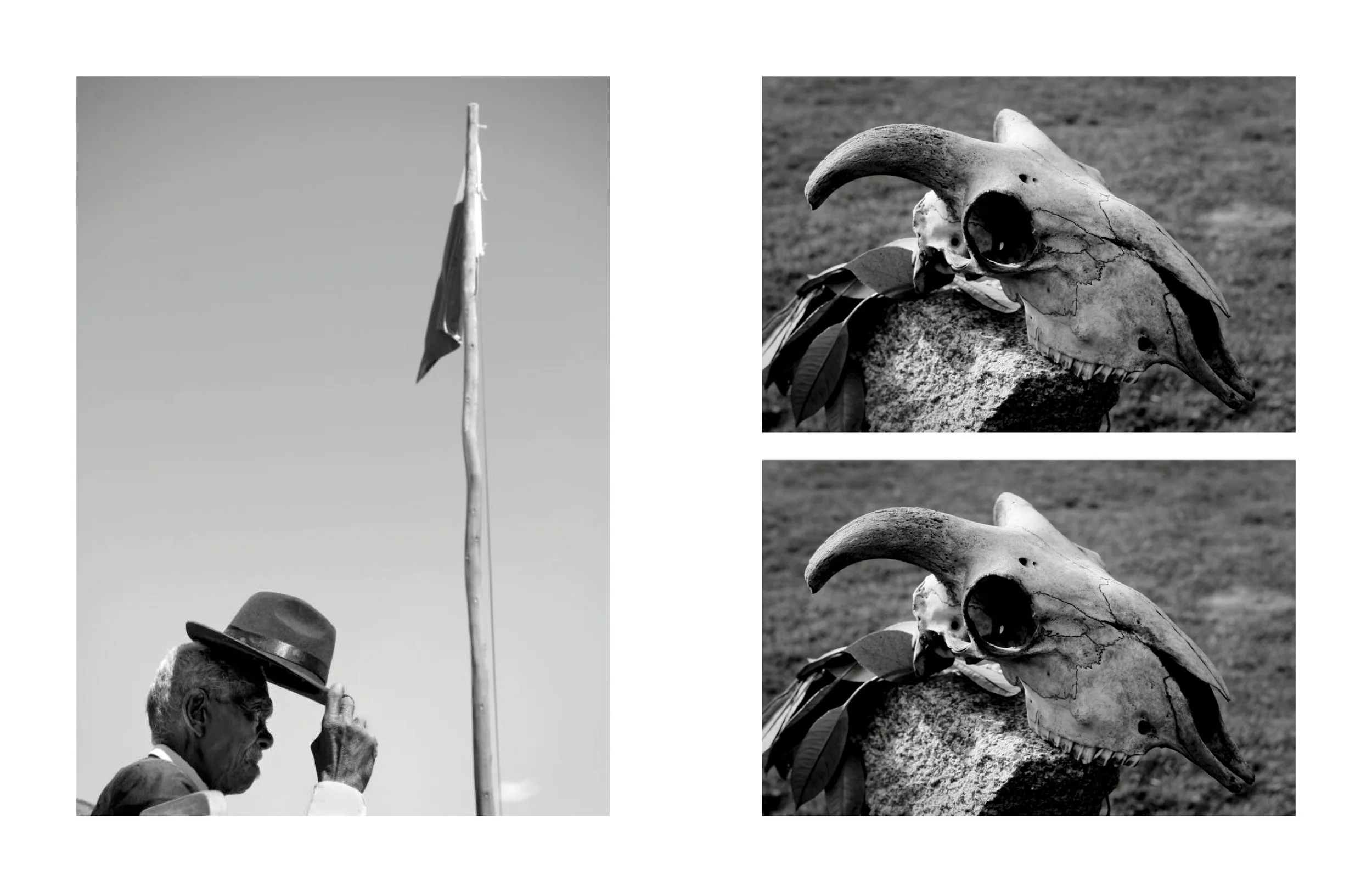 Un homme portant un chapeau lève un drapeau avec un bâton, en arrière-plan le ciel. À droite, une tête de bâton de singe et un crâne de animal sur un rocher, avec un terrain vague.
