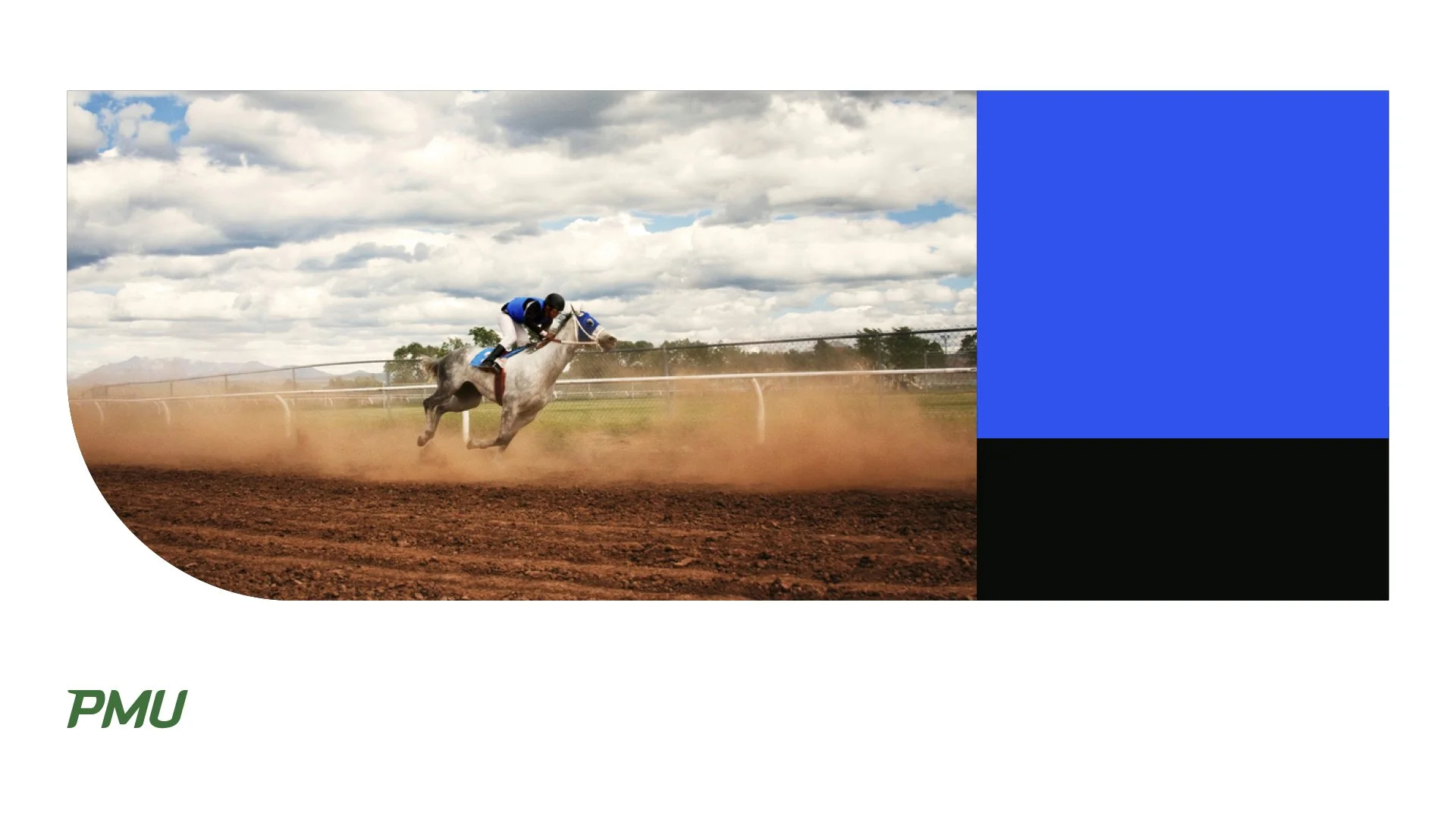Un jockey en plein saut monté sur un cheval lors d'une course à la piste, ciel nuageux en arrière-plan.