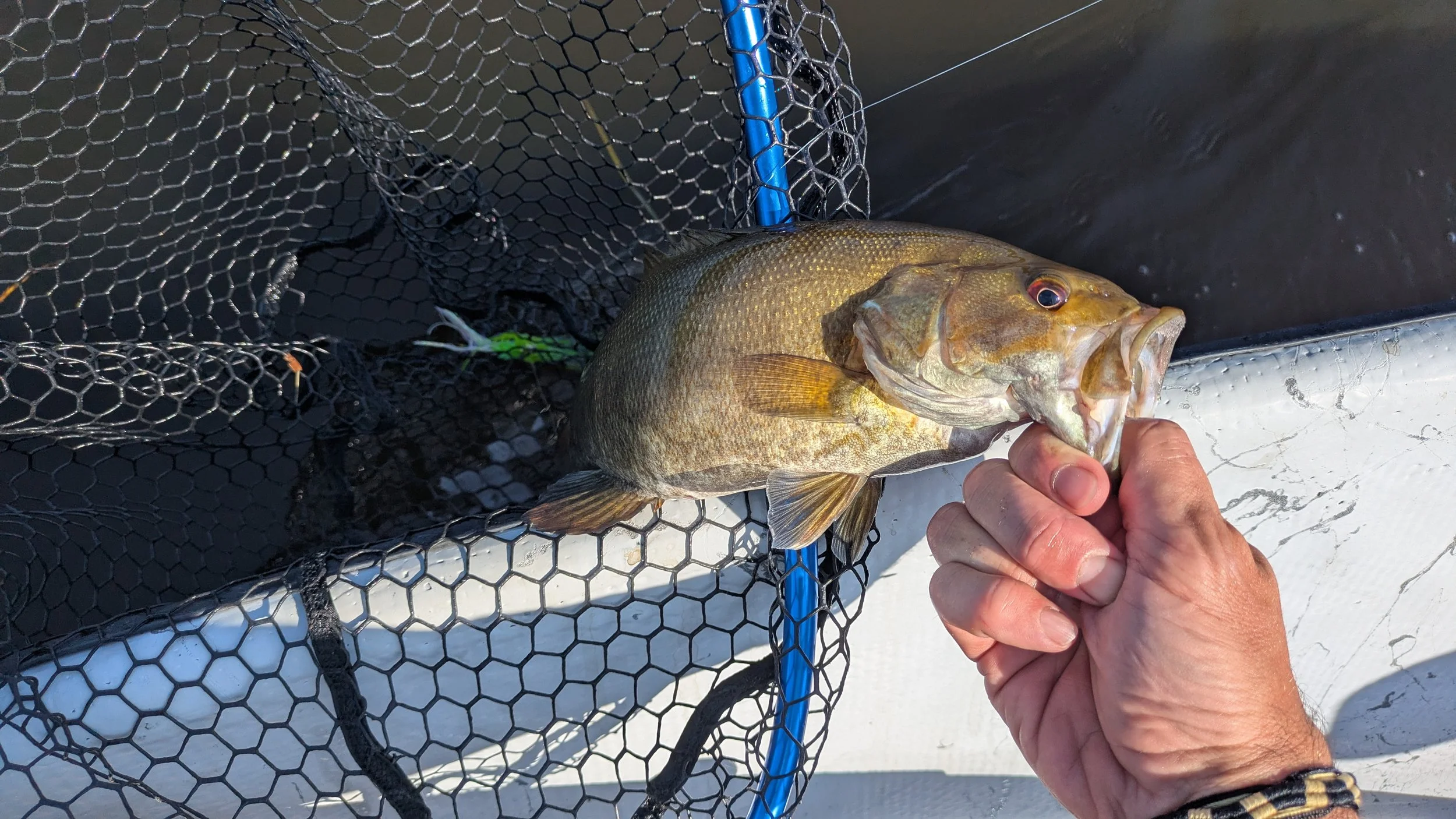smallmouth bass caught on a fly in a drift boat