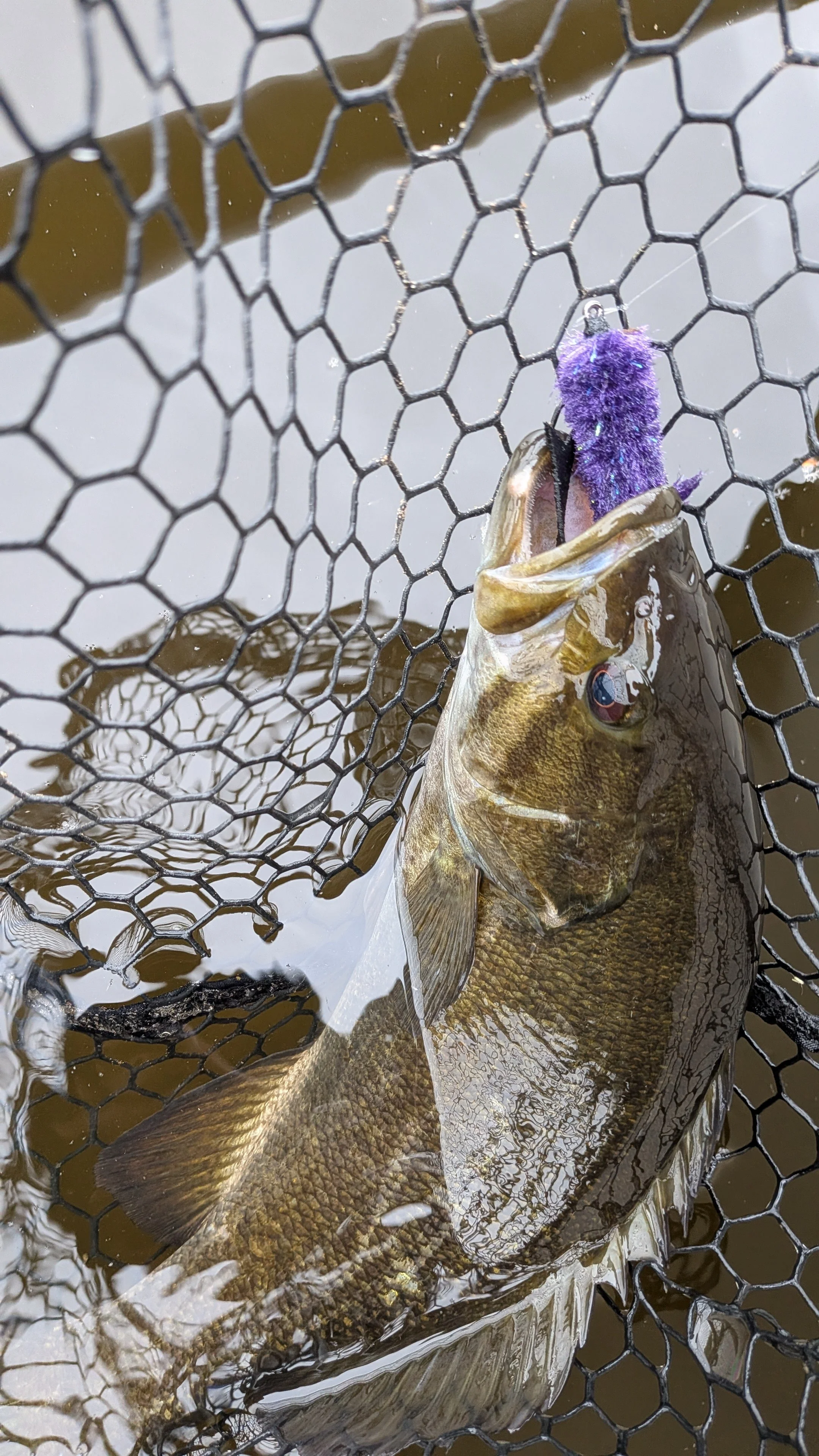 PXL_20260519_145523377.RAW-01 (1).jpg