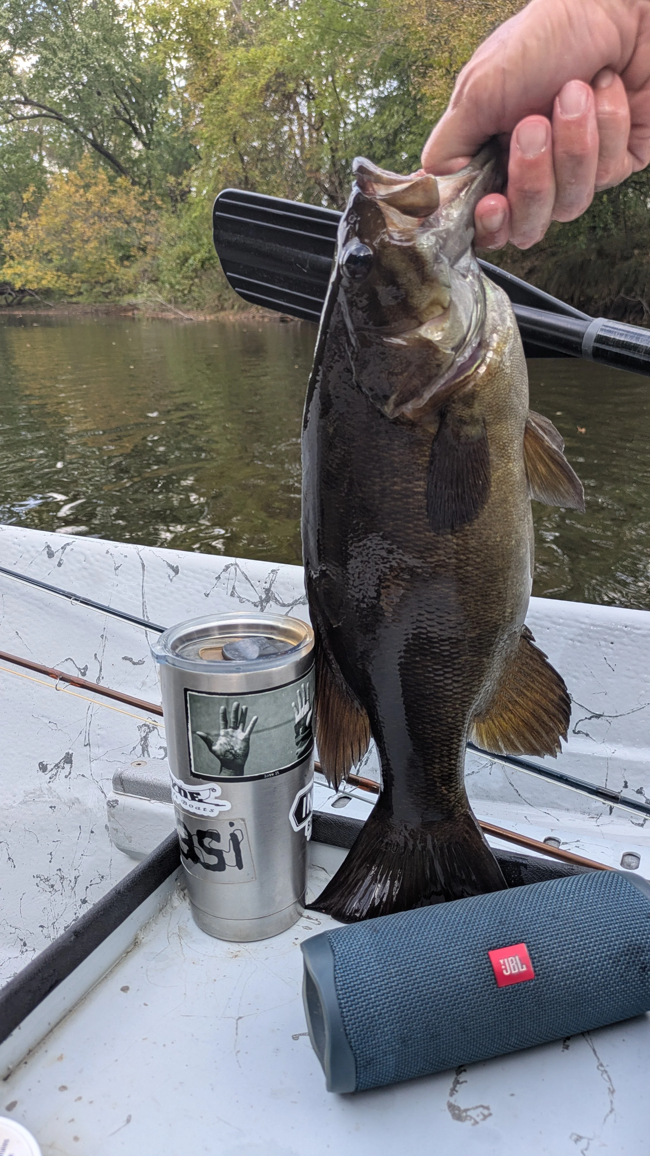 Person holding a large fish over a boat, with a fishing rod and a tumbler on the boat's surface, and a river with trees in the background.