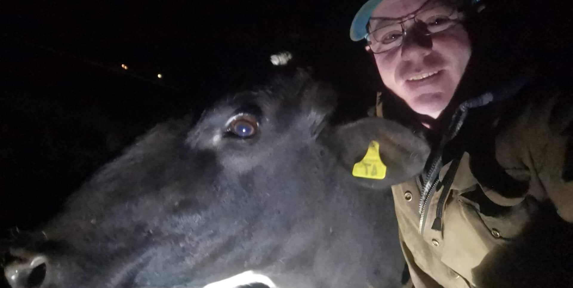 Life With a Dairy Farmer - a man and his cow