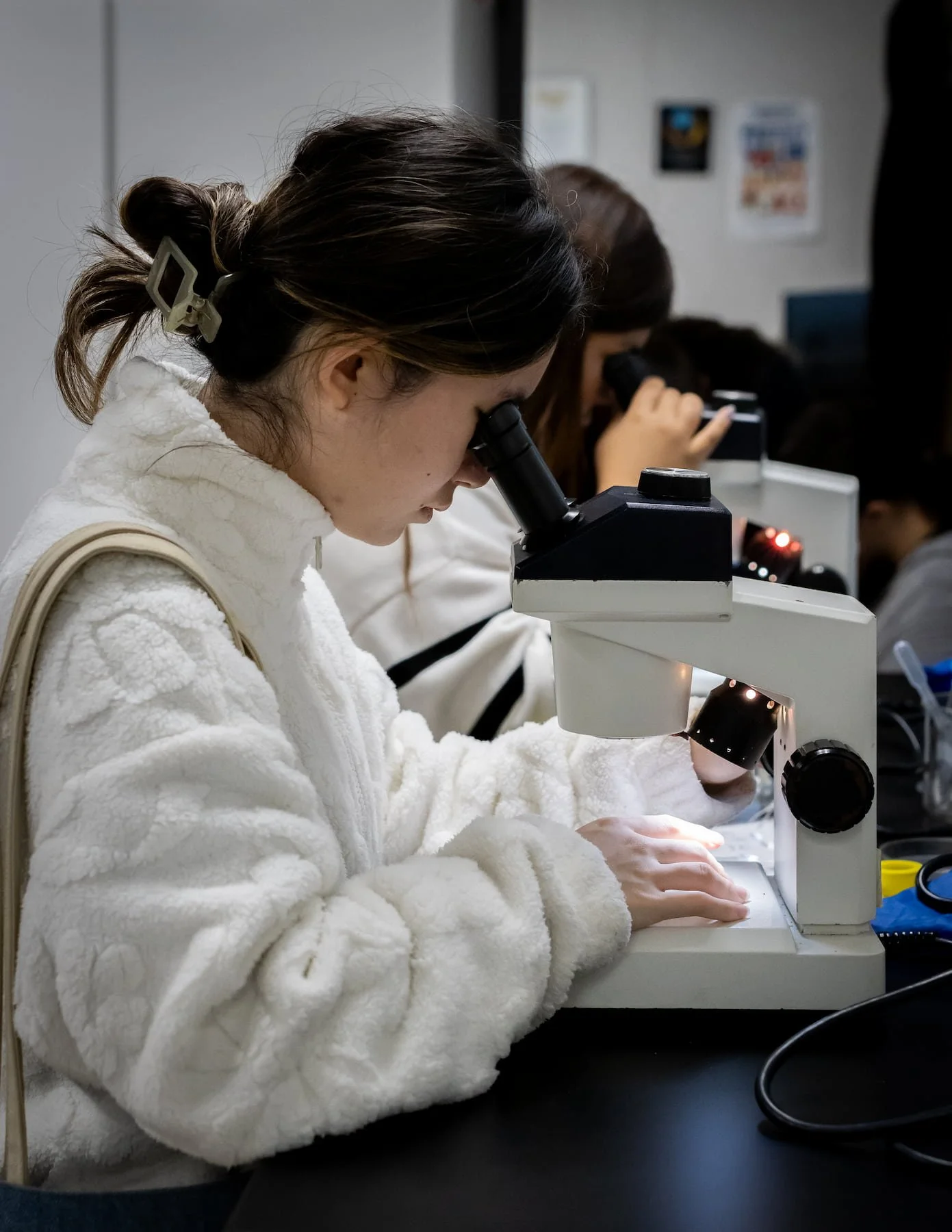 Copy of Microscope (1).jpg