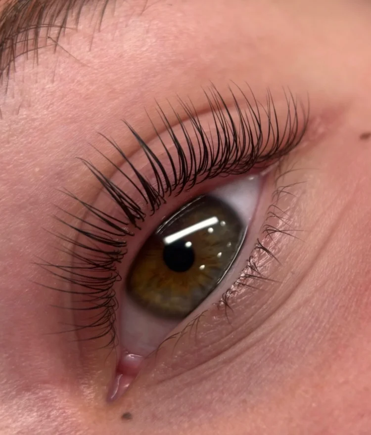 Korean lash lift close-up
