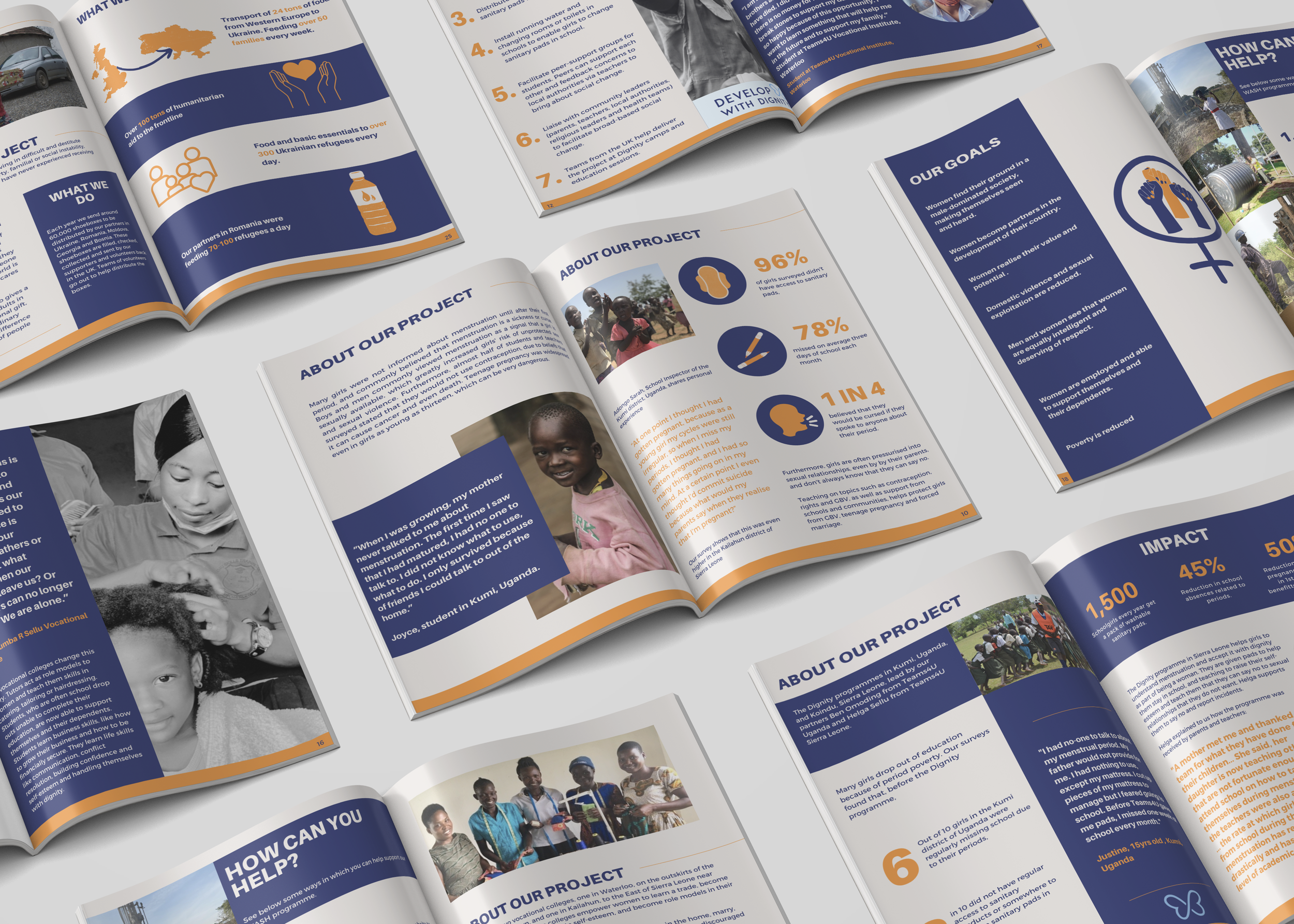 Project Portfolio.png