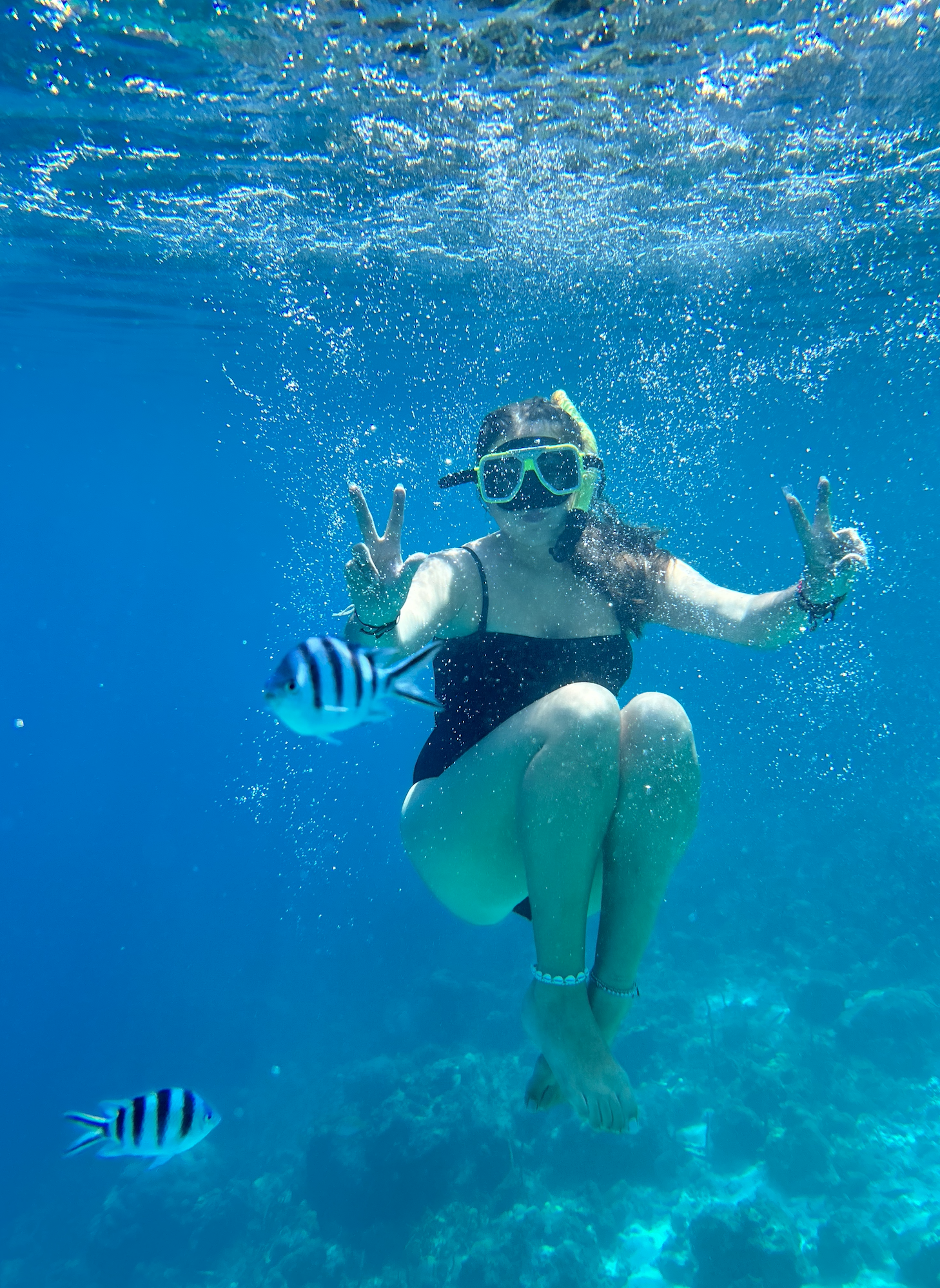 Screenshot 2024-02-12 at 14.29.35.png