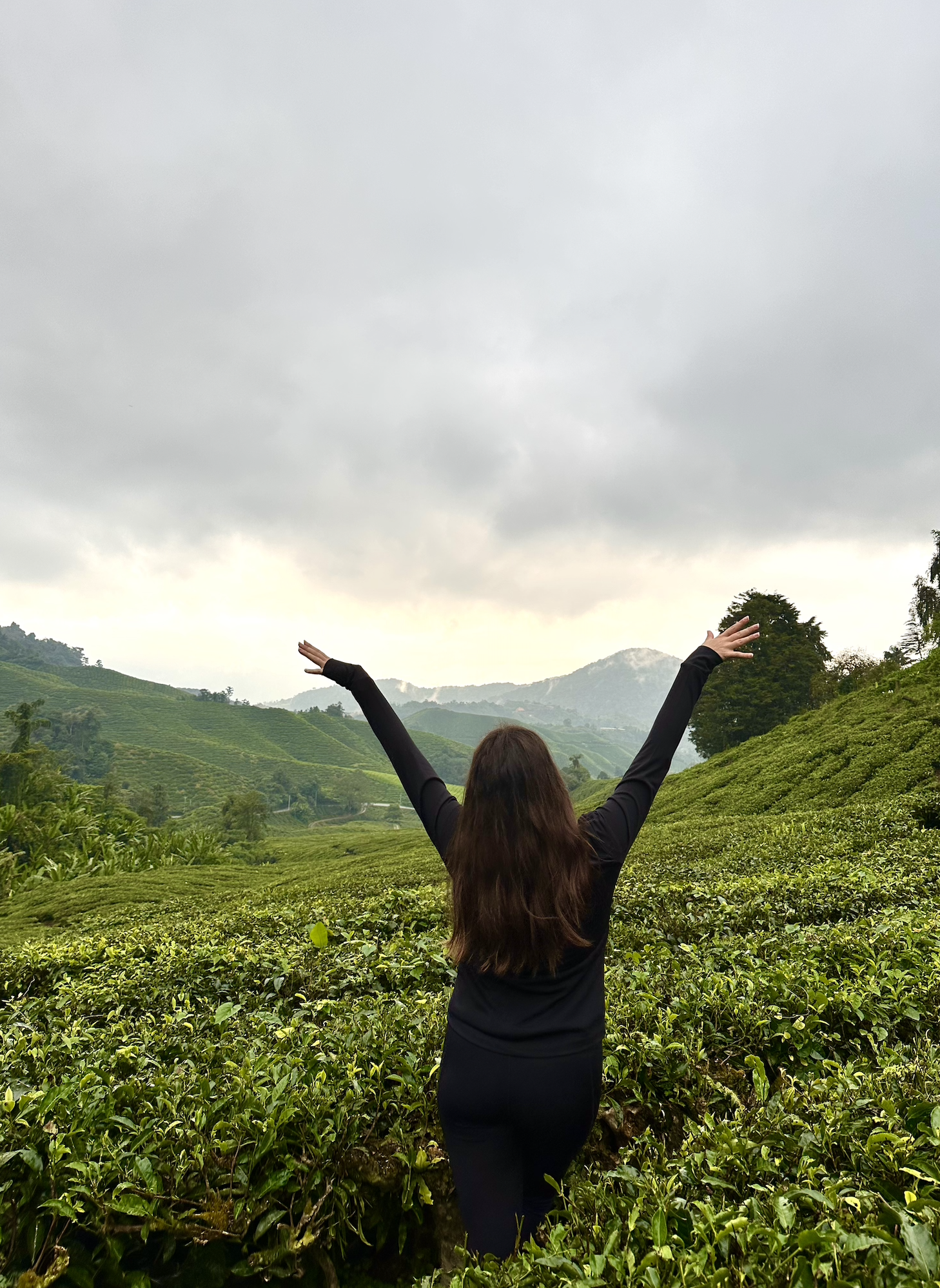 Screenshot 2024-02-12 at 14.29.15.png