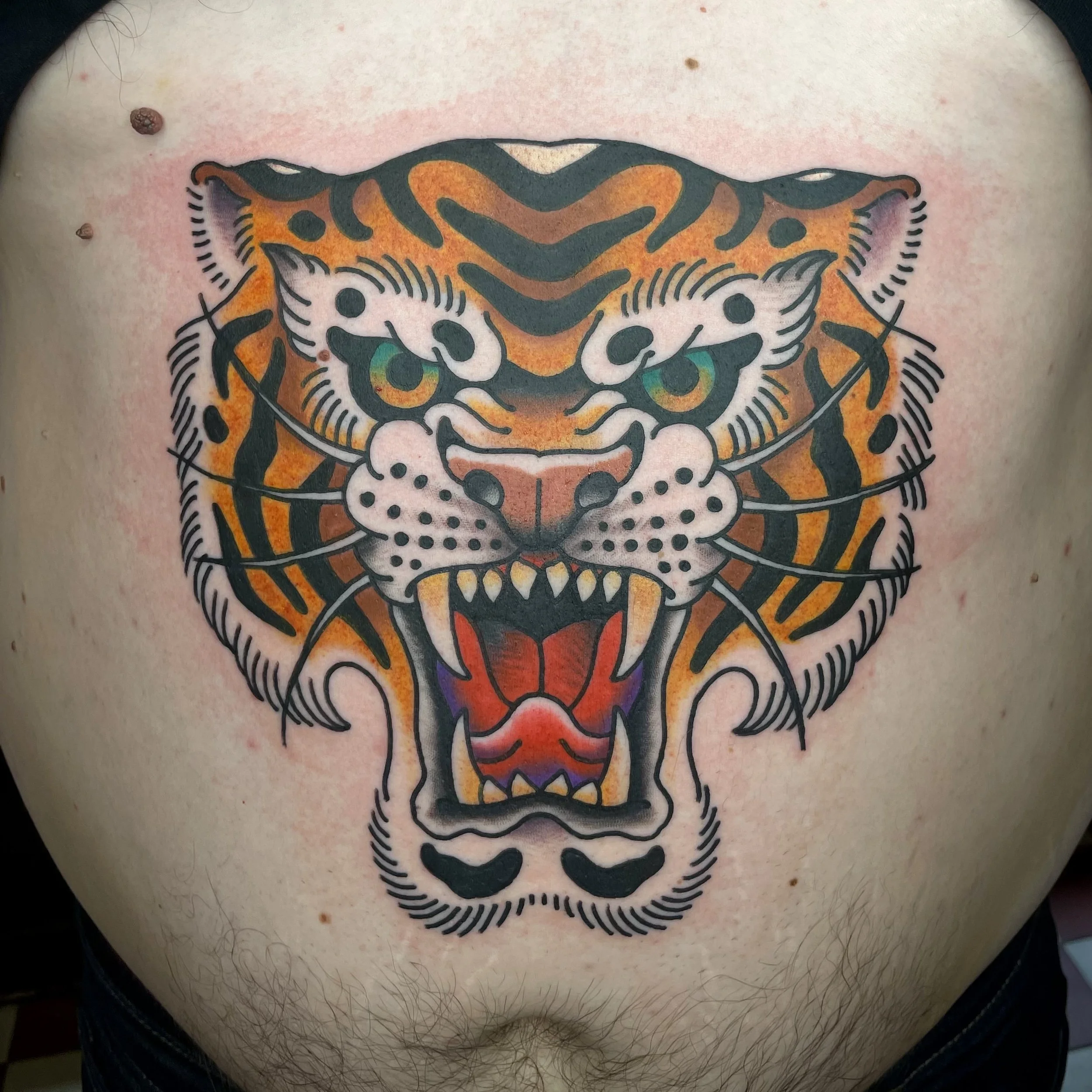 A colorful tattoo of a fierce tiger's face with its mouth open, showing teeth and a red tongue, on a person's chest.