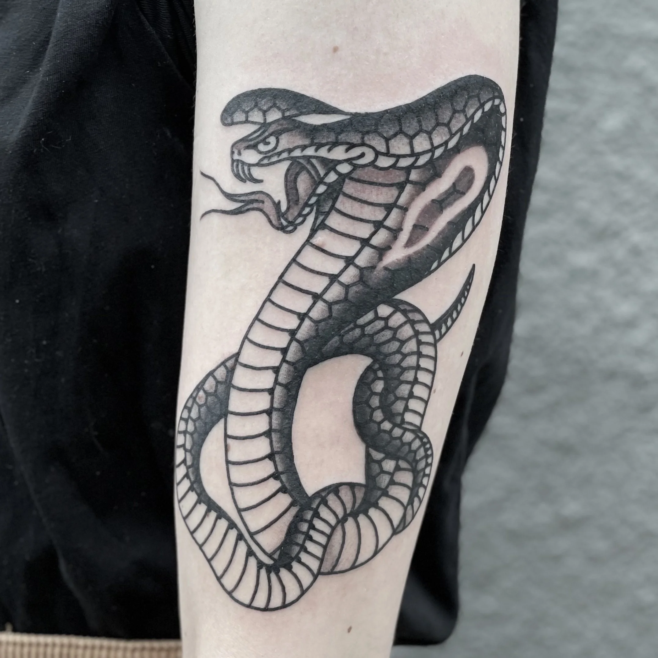 Black and gray tattoo of a snake with its mouth open, showing fangs and a flicking tongue, coiled on a person's arm.