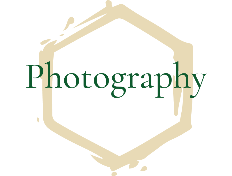 Photography Honeycomb Icon