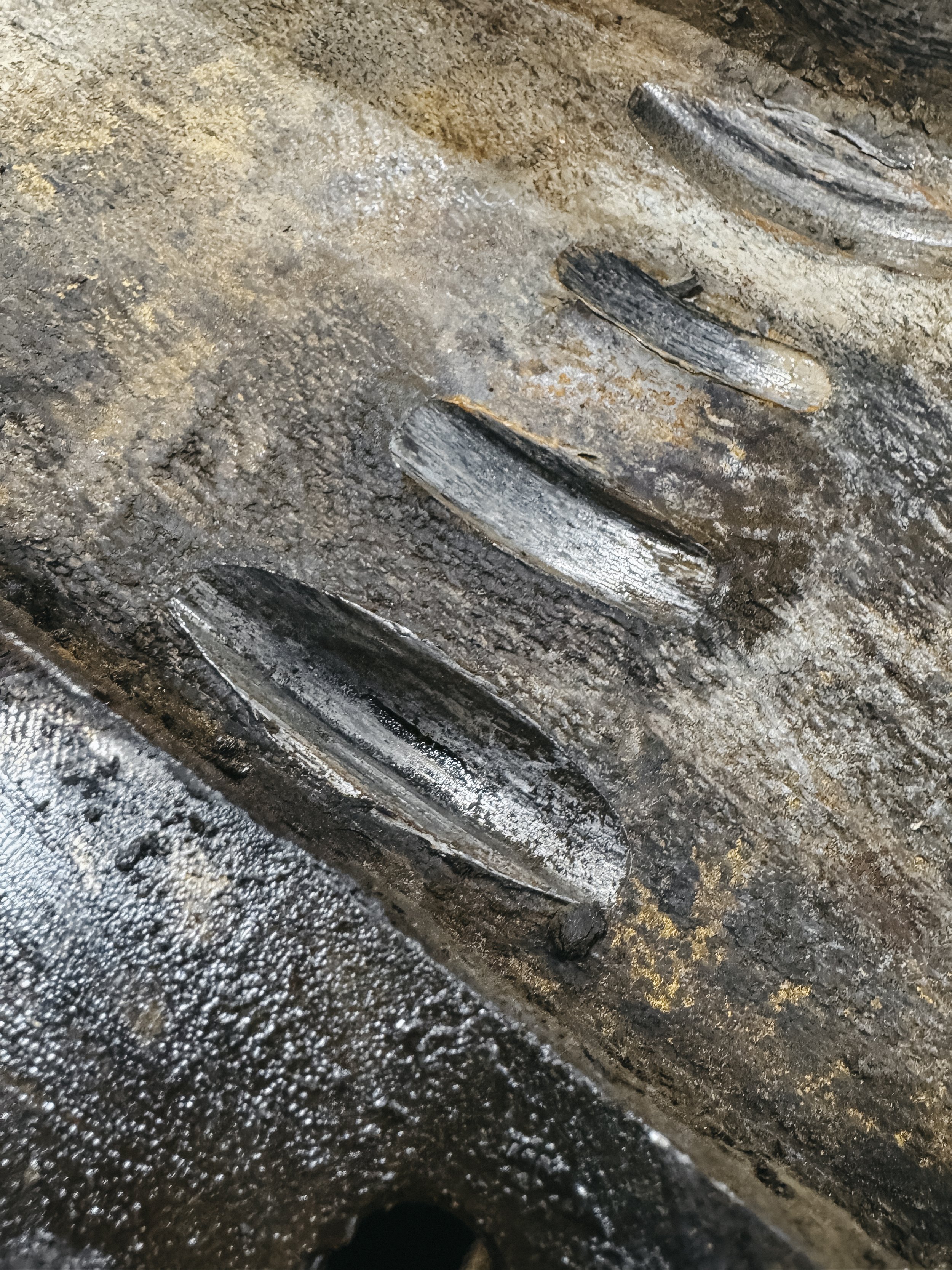 Heavy duty equipment welding, Custom fabrication, Mobile stick & Pipe services, Colorado welding, Colorado Fabrication, Colorado Mobile Stick, Colorado pipe services, professional welding, professional, mobile stick, professional fabrication,
Windsor