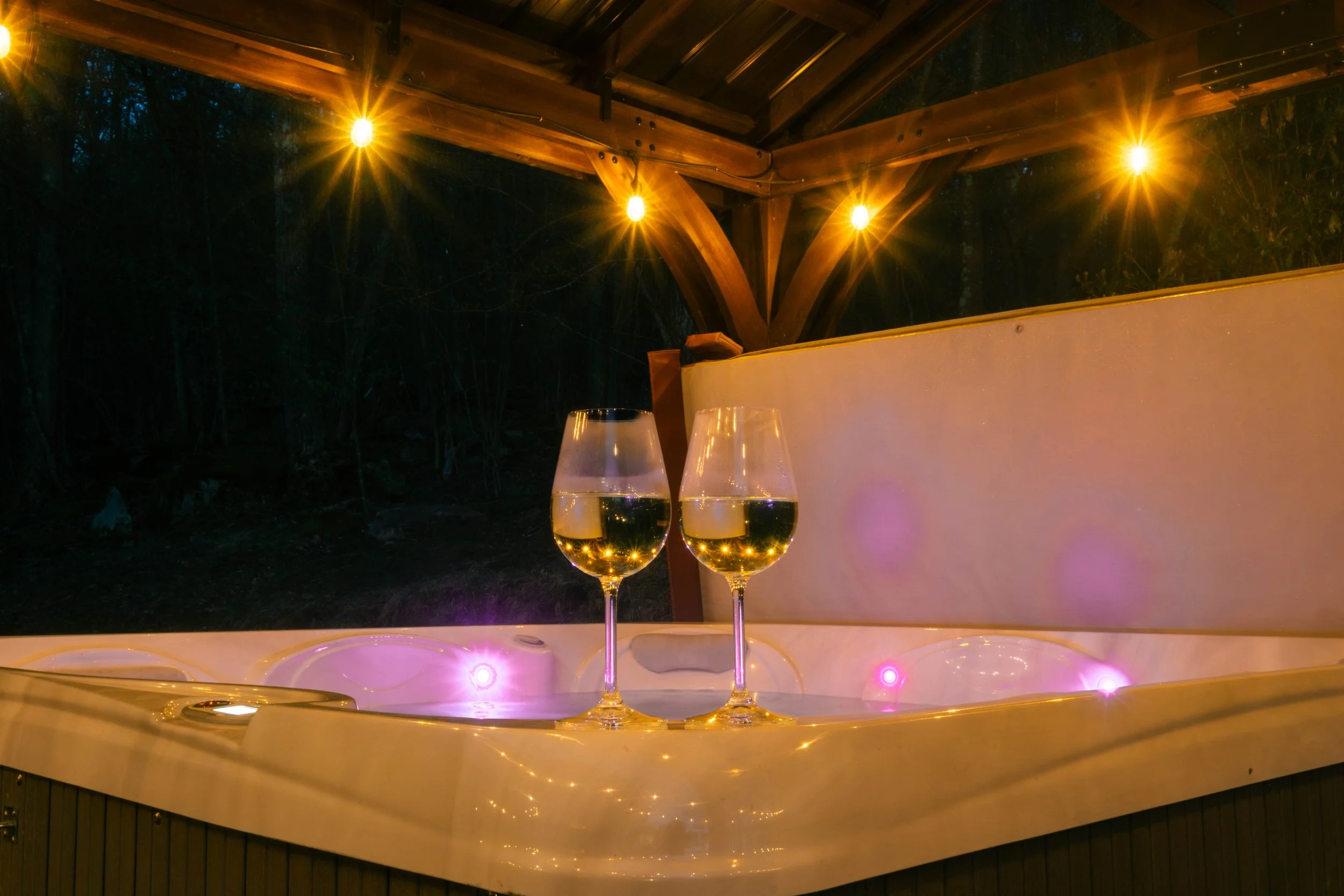 pine-and-paw-lodge-hot-tub-relax-unwind.jpg