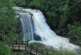 A waterfall flowing over rocks into a river, surrounded by green trees, with a wooden observation deck in the foreground.