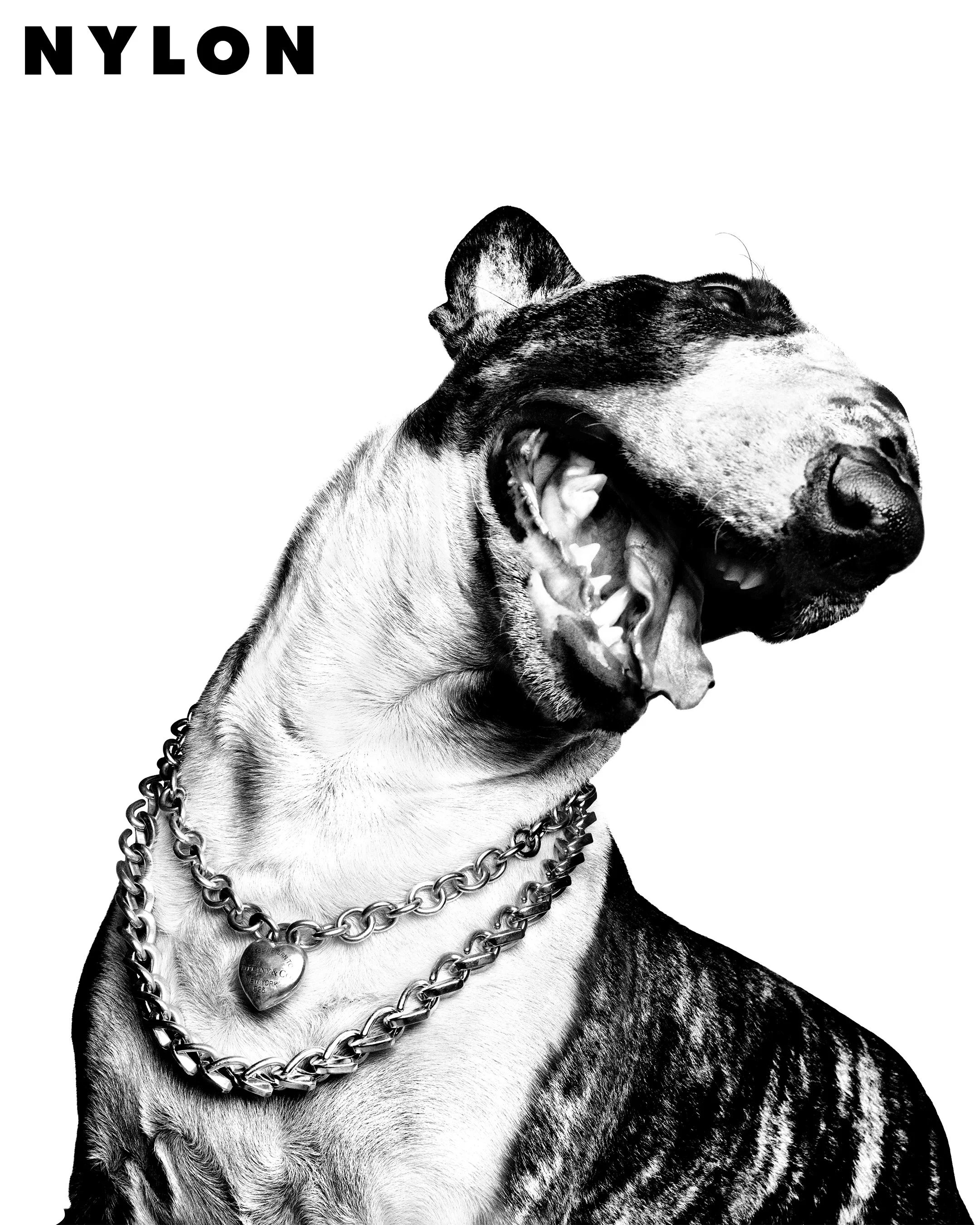 Nylon_Party Animals_Credit Platon_IG_02.jpg