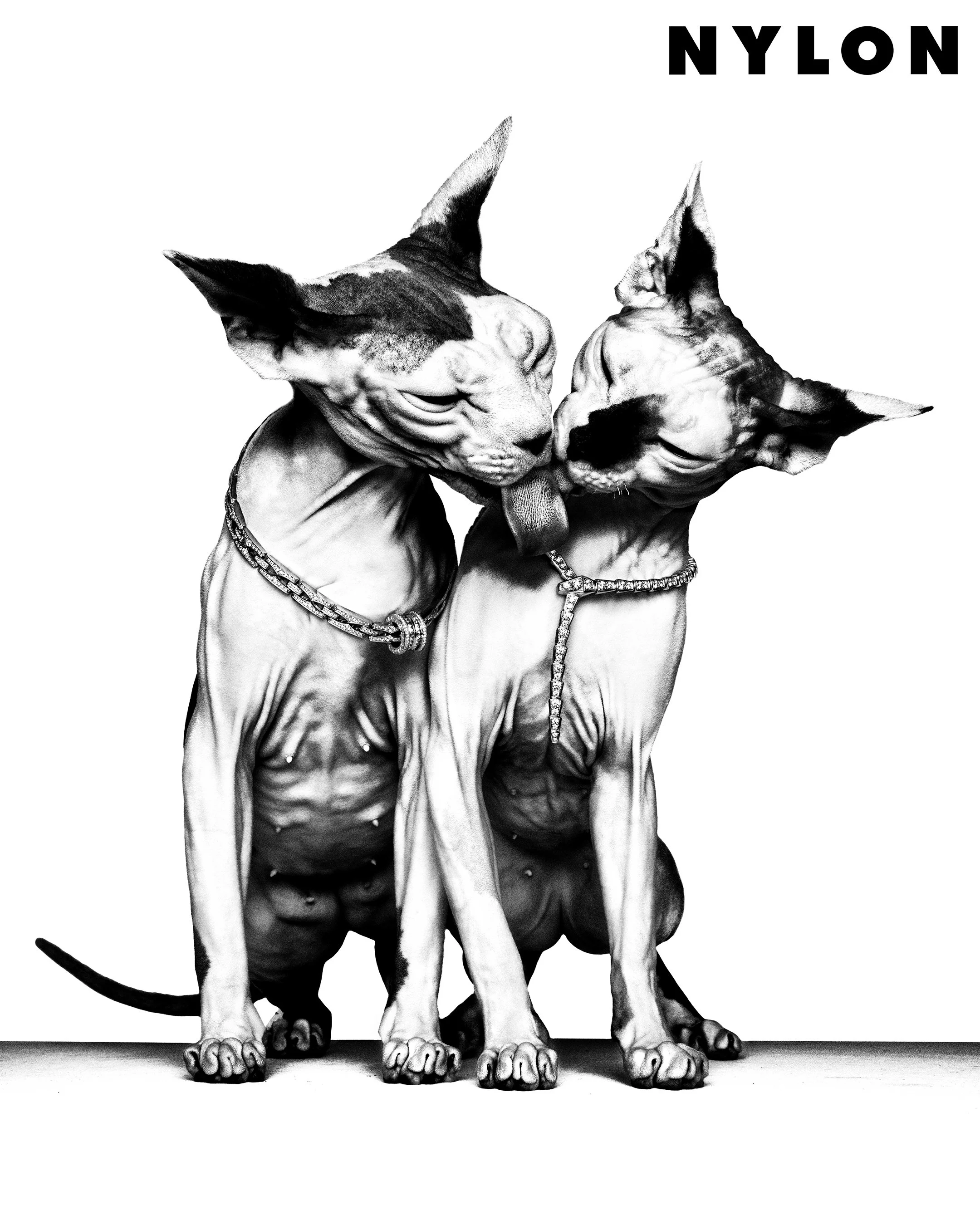 Nylon_Party Animals_Credit Platon_IG_04.jpg