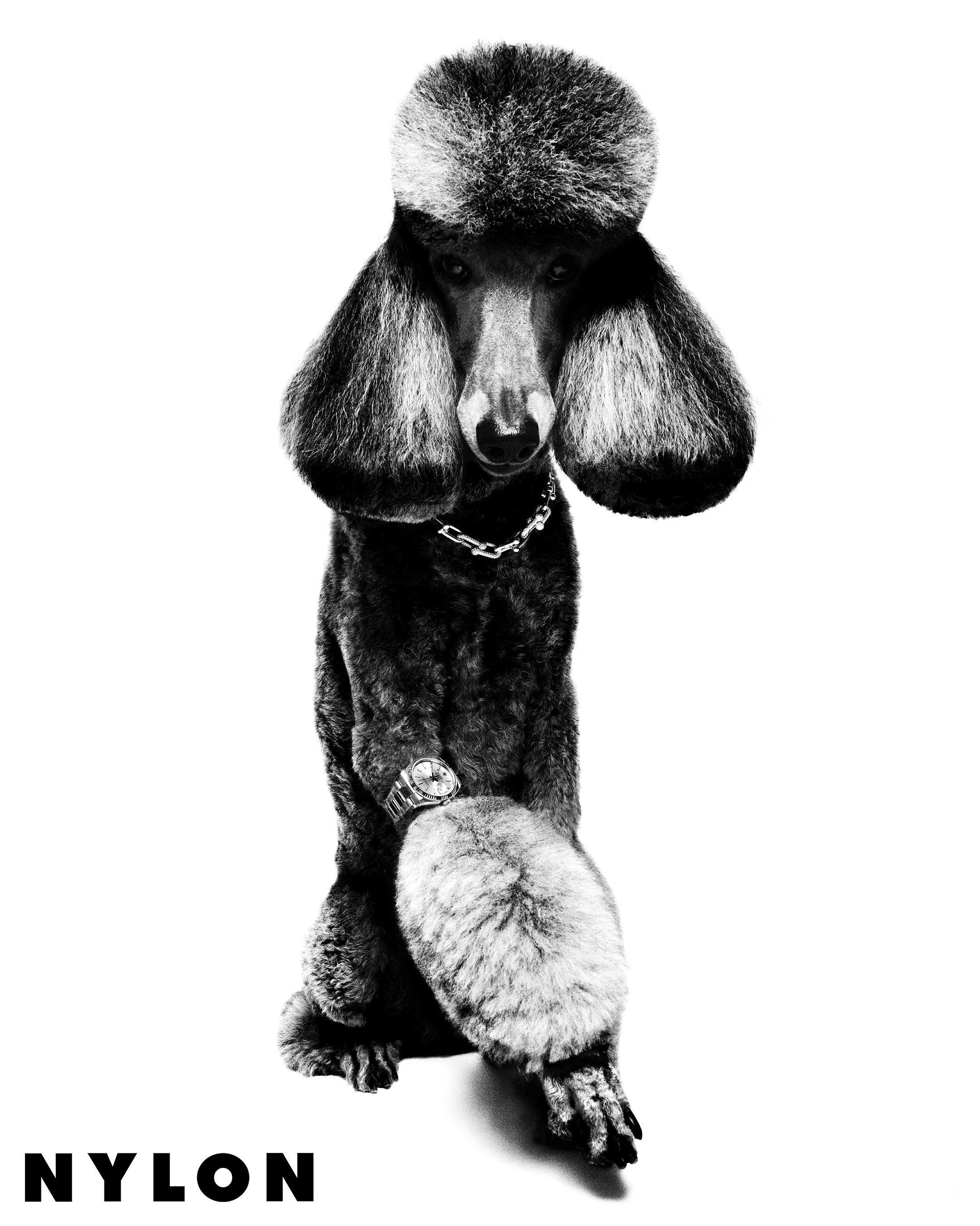 Nylon_Party Animals_Credit Platon_IG_03.jpg