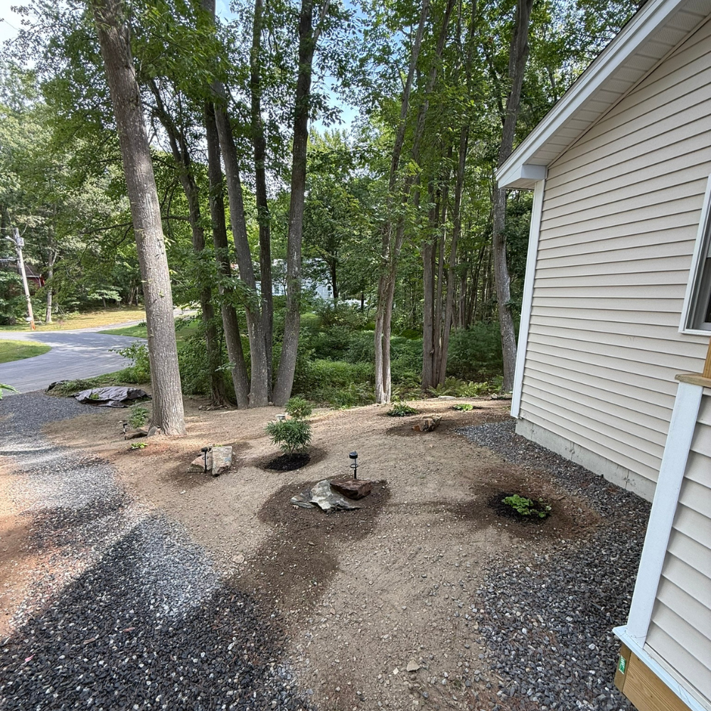 Woodland Restoration in Southern Maine
