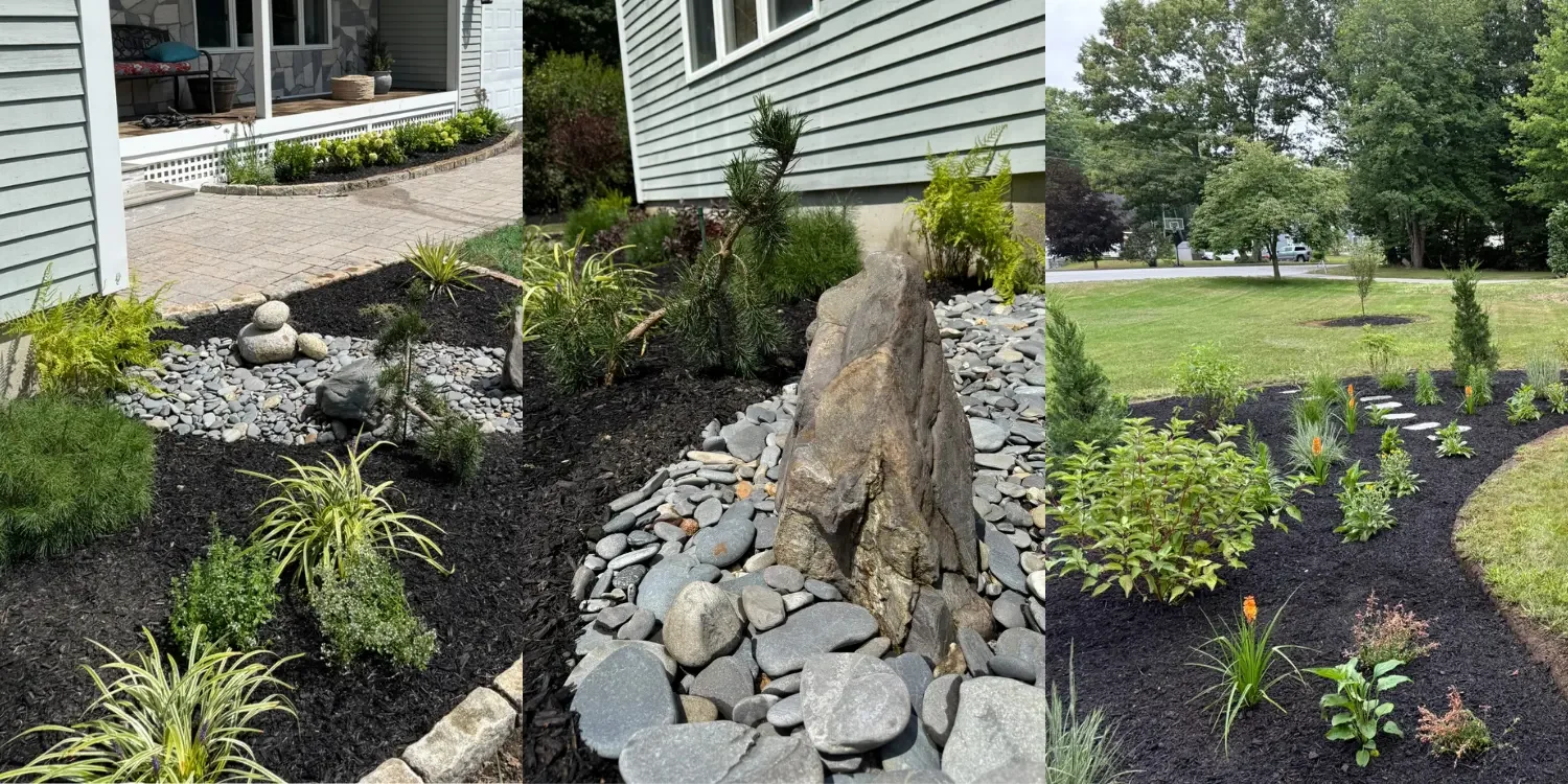 Garden Portfolio (1500 x 750 px).webp