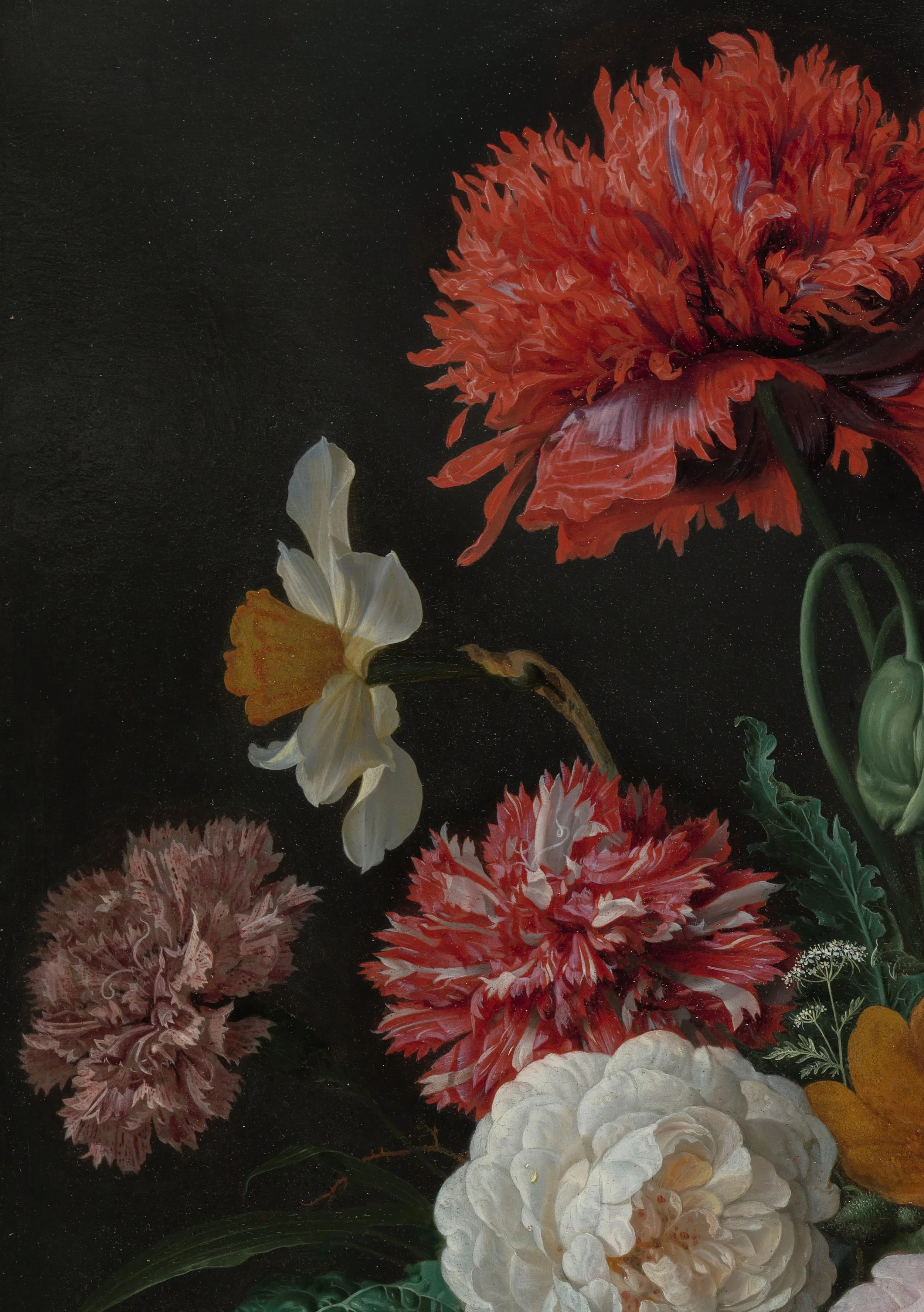 Close-up of a dark background with various detailed, colorful flowers including a large orange flower, white flower, pink flower, and yellow flower.