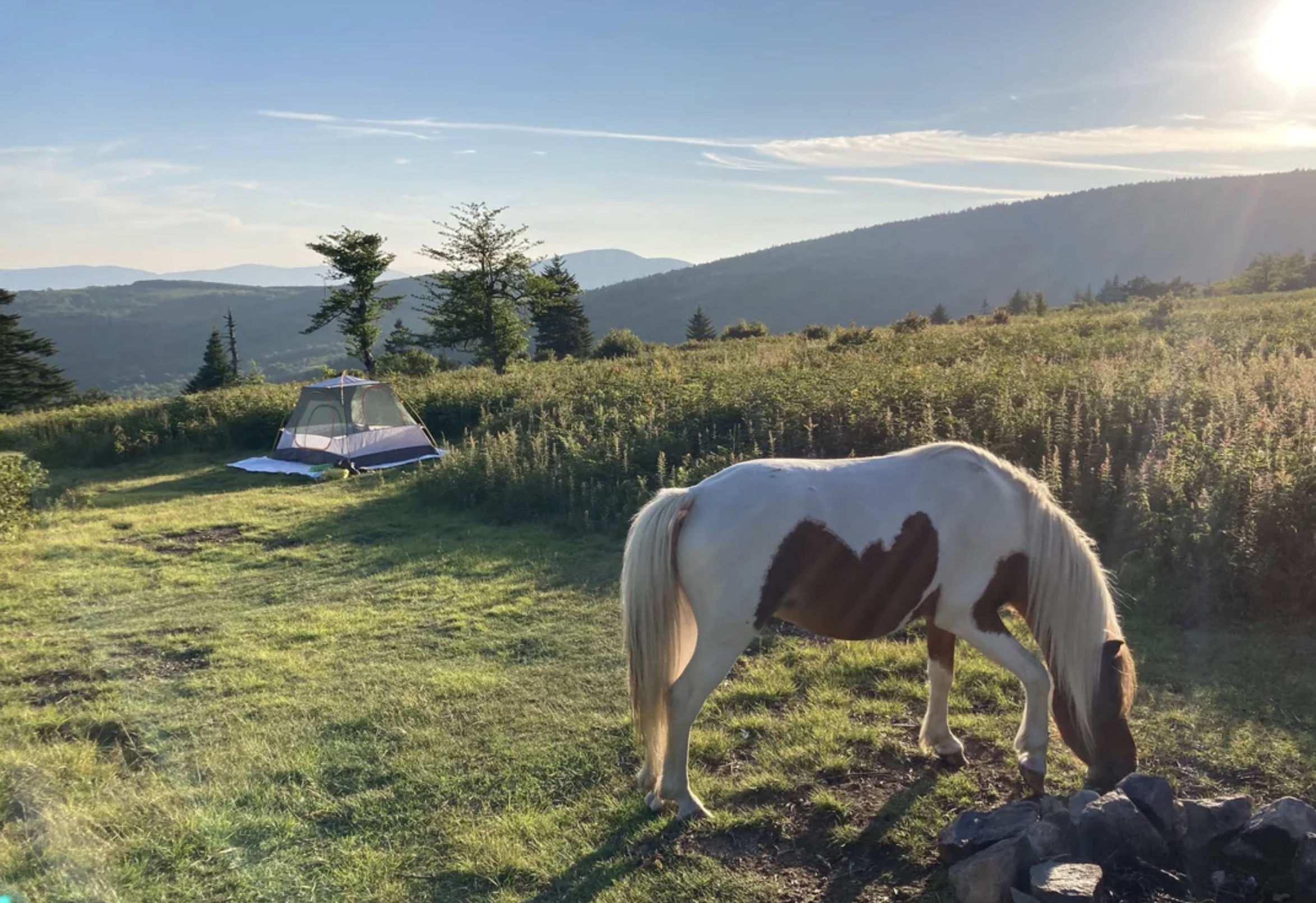 Grayson Highlands State Park Campout