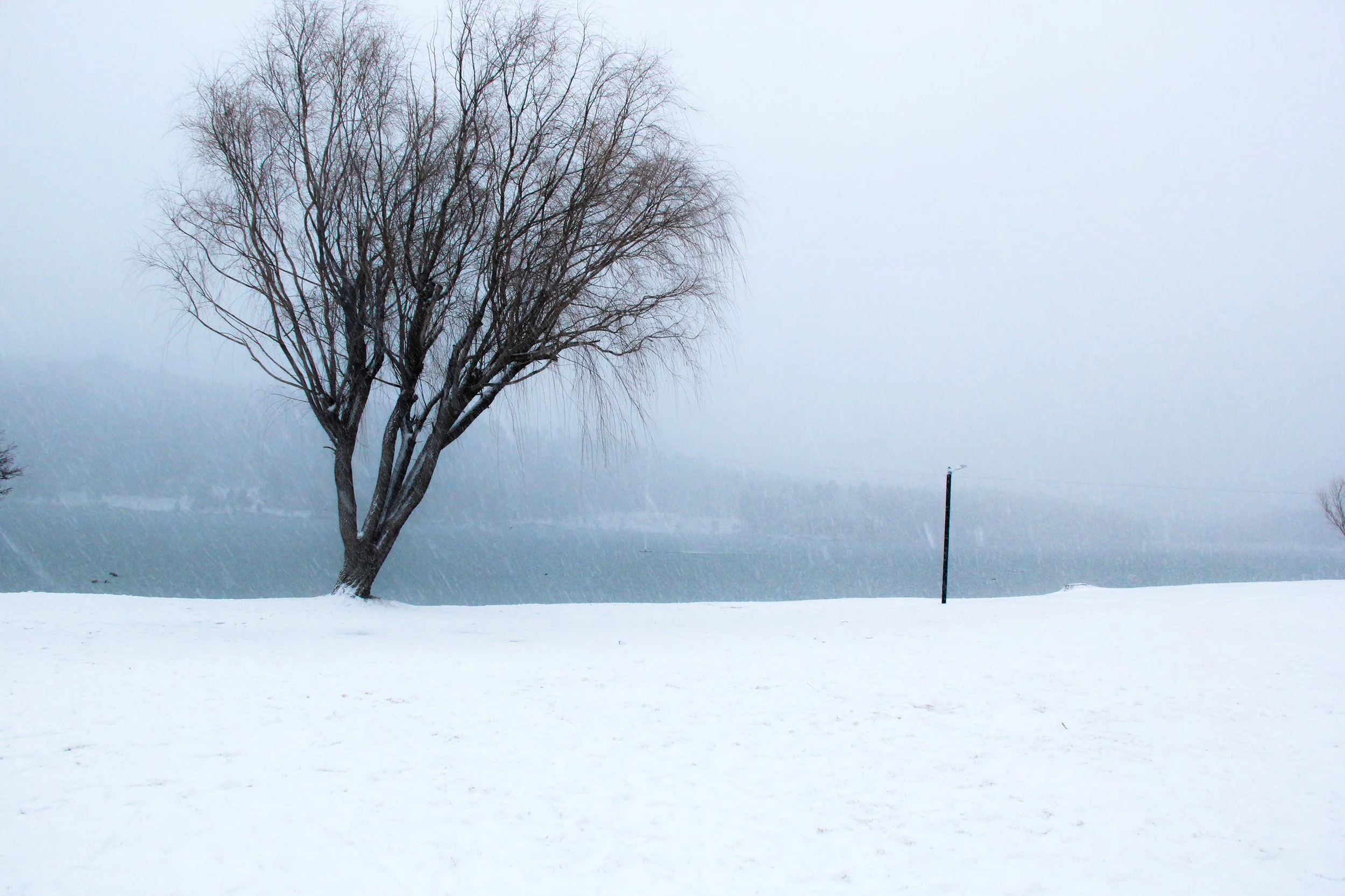 Snow.jpg