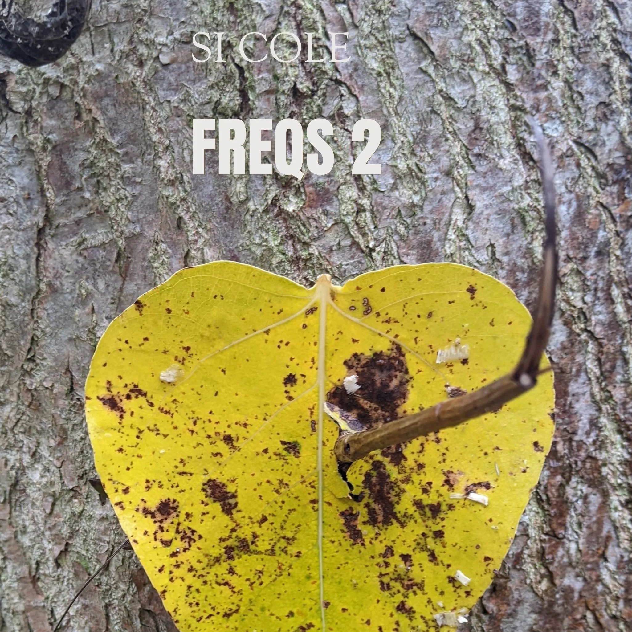 Si Cole Freqs Mix 2 - 18/05/26