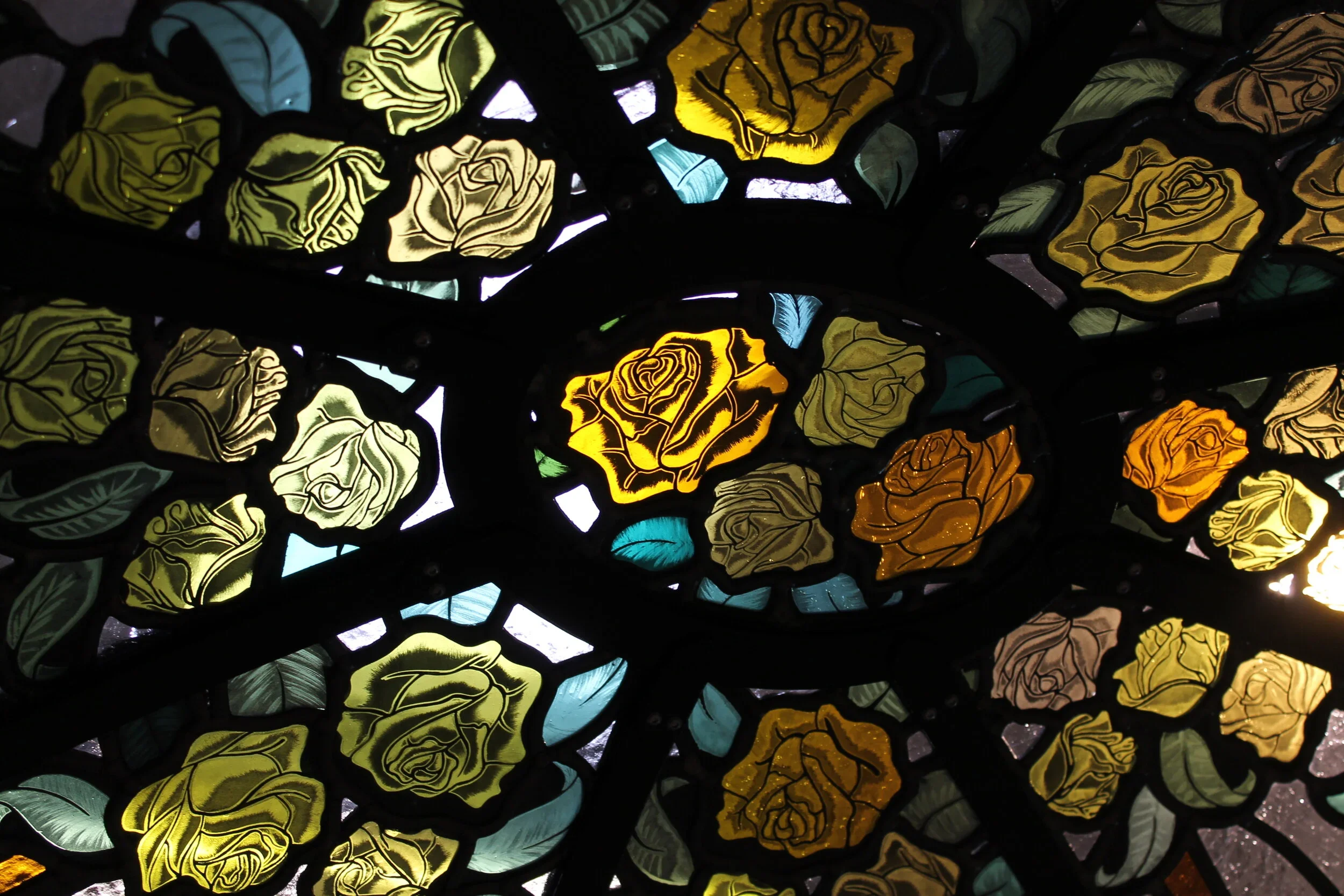 A stained glass ceiling with yellow roses and green leaves outlined in black