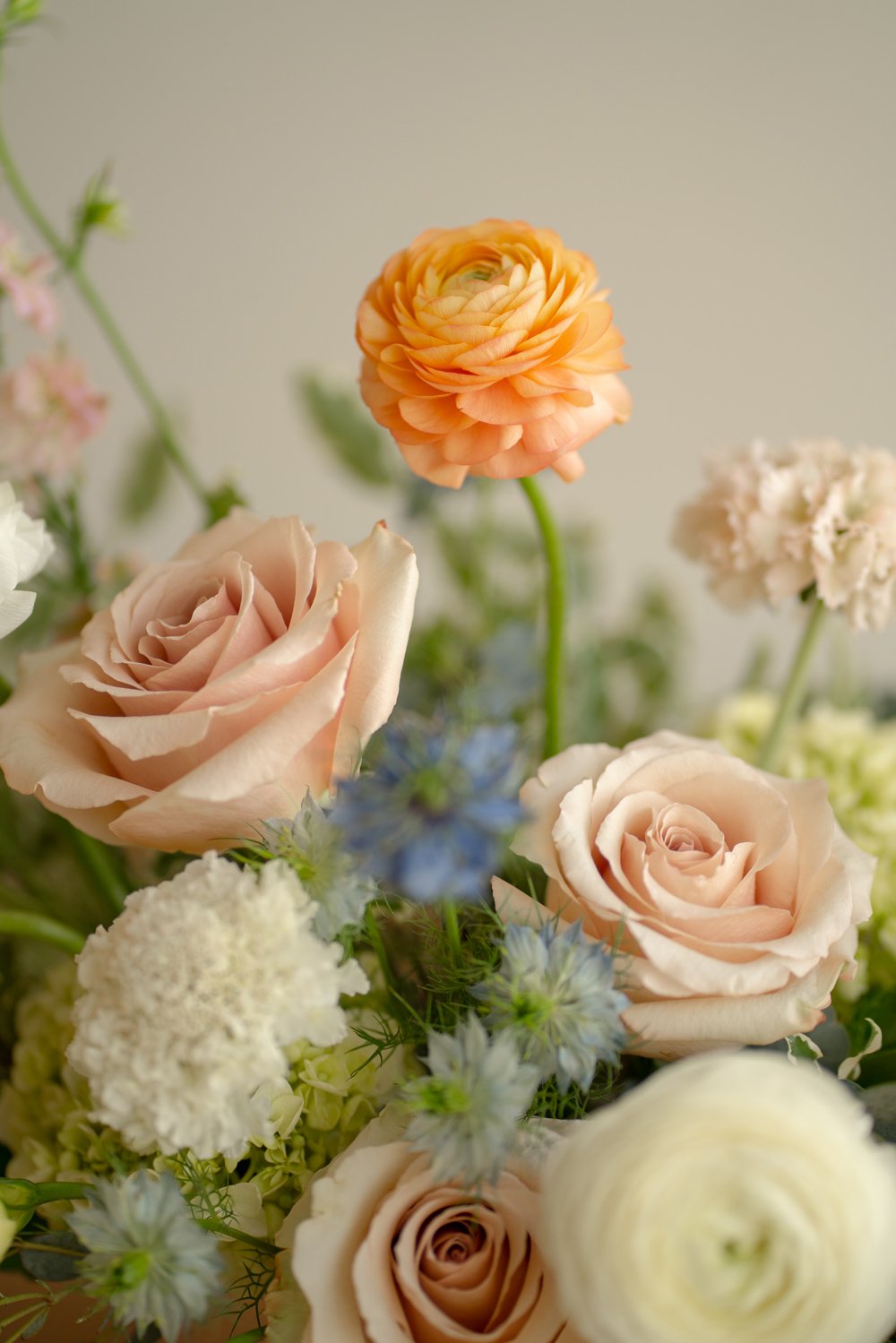 garden-pastel.jpg