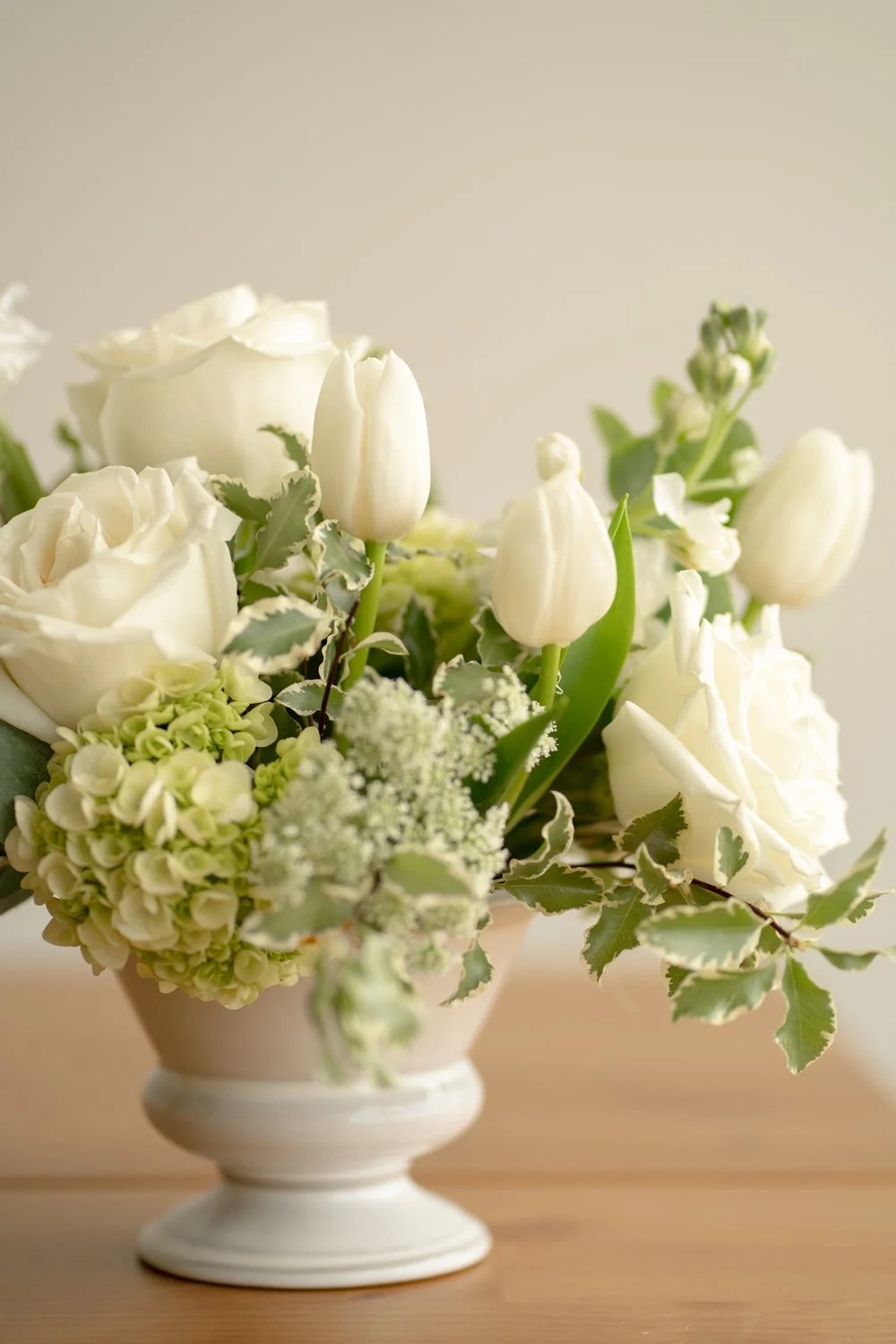 Soft-Neutral-(1).jpg