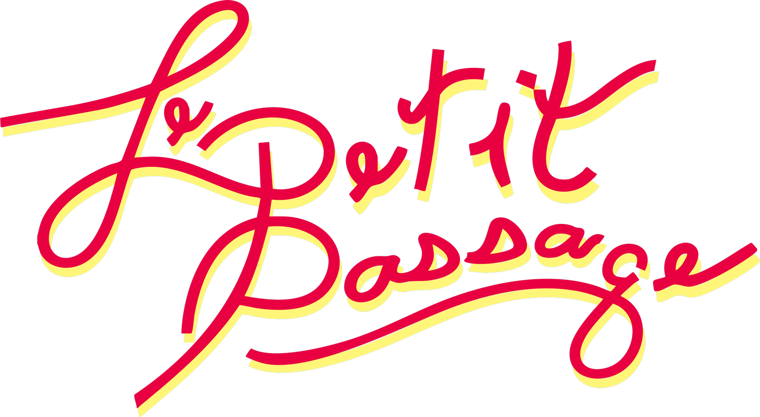 Le Petit Passage