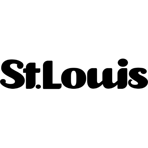 St. Louis nurse fills critical gap with stroke caregiver support network