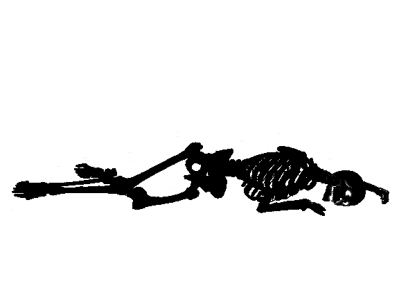 Oh opossum - Print 2.png