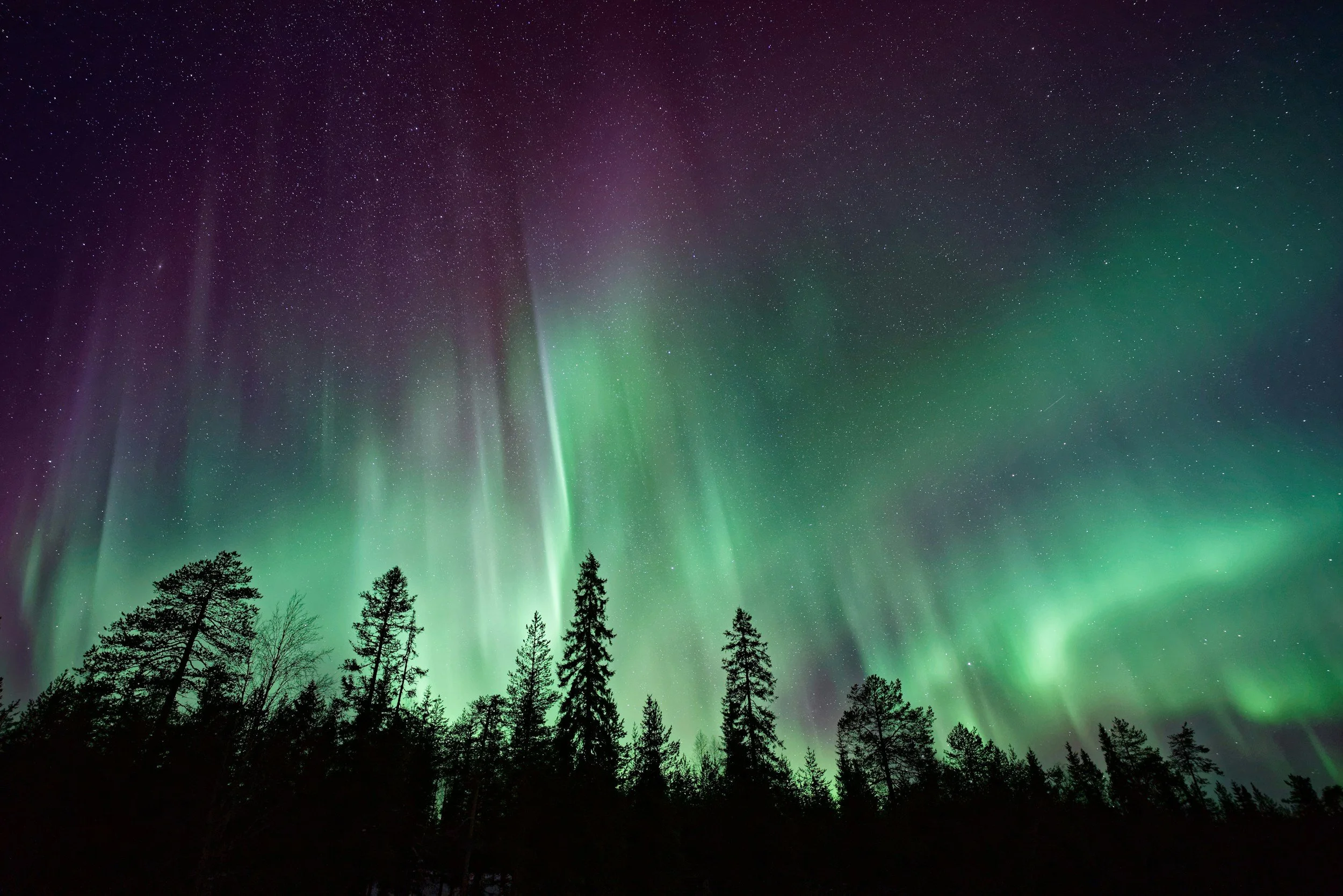 Northern Lights (aurora borealis) over a silhouette of a forest at night.