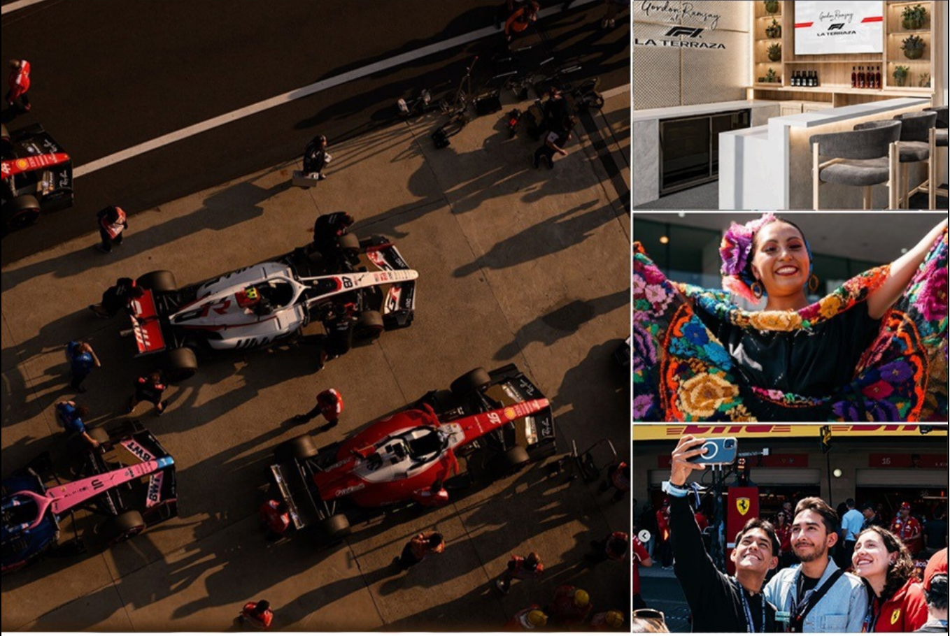 Motorsports Mock Campaign