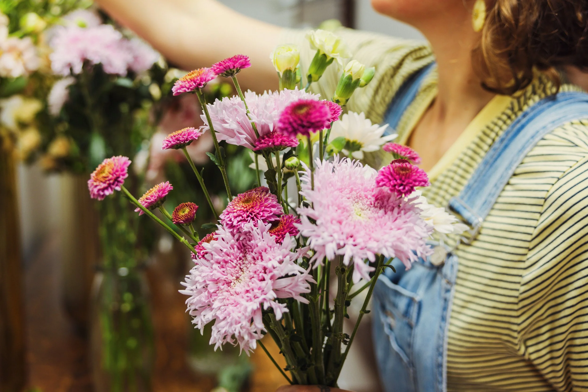 U-Pick Flowers &amp; Berries